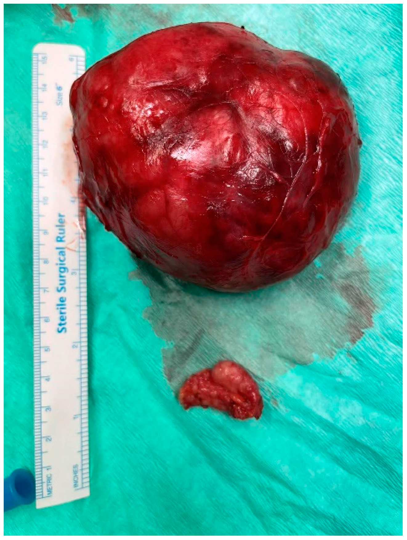 Jcm 12 01855 g004 Jcm 12 01855 g004