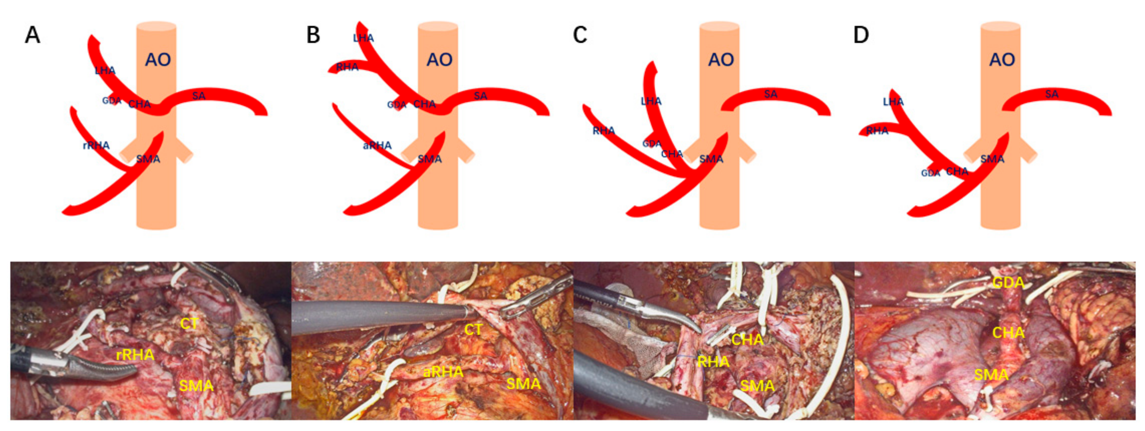 Jcm 12 01965 g001 Jcm 12 01965 g001