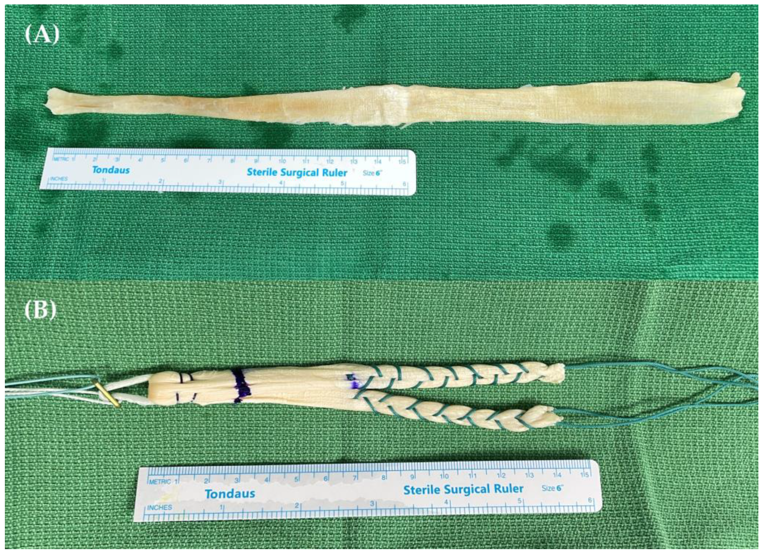 Jcm 12 01966 g002 Jcm 12 01966 g002