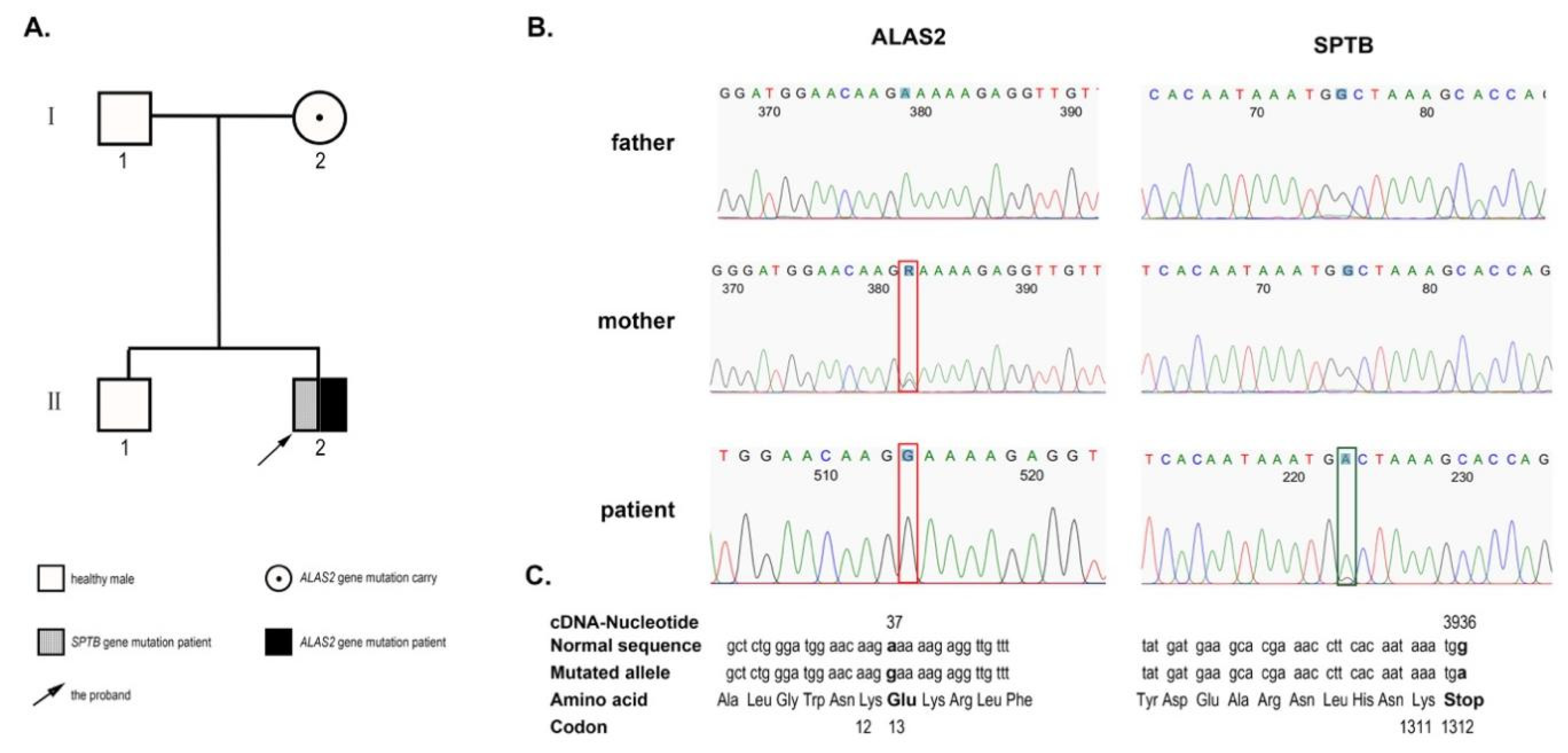 Jcm 12 01990 g002 Jcm 12 01990 g002