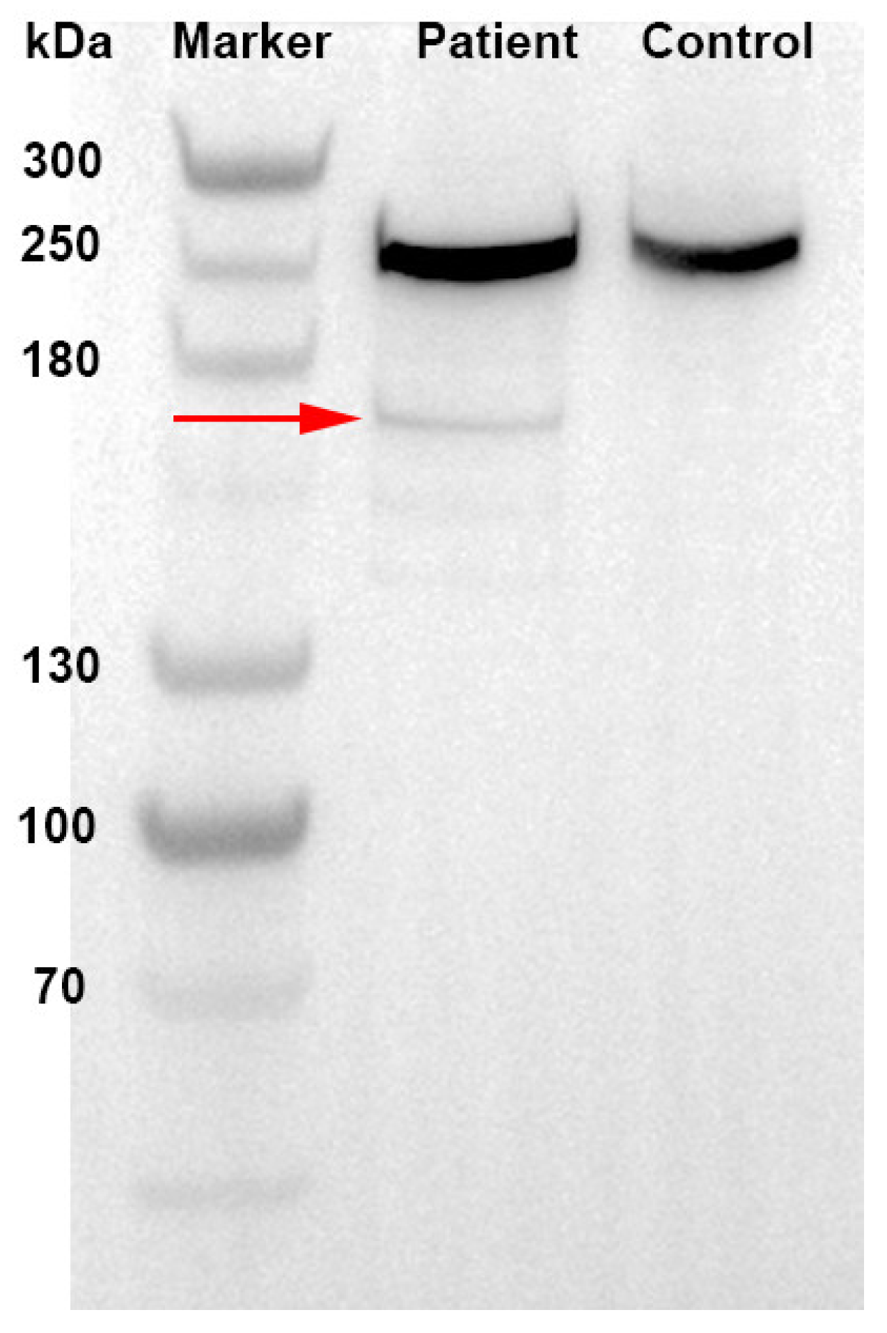 Jcm 12 01990 g003 Jcm 12 01990 g003