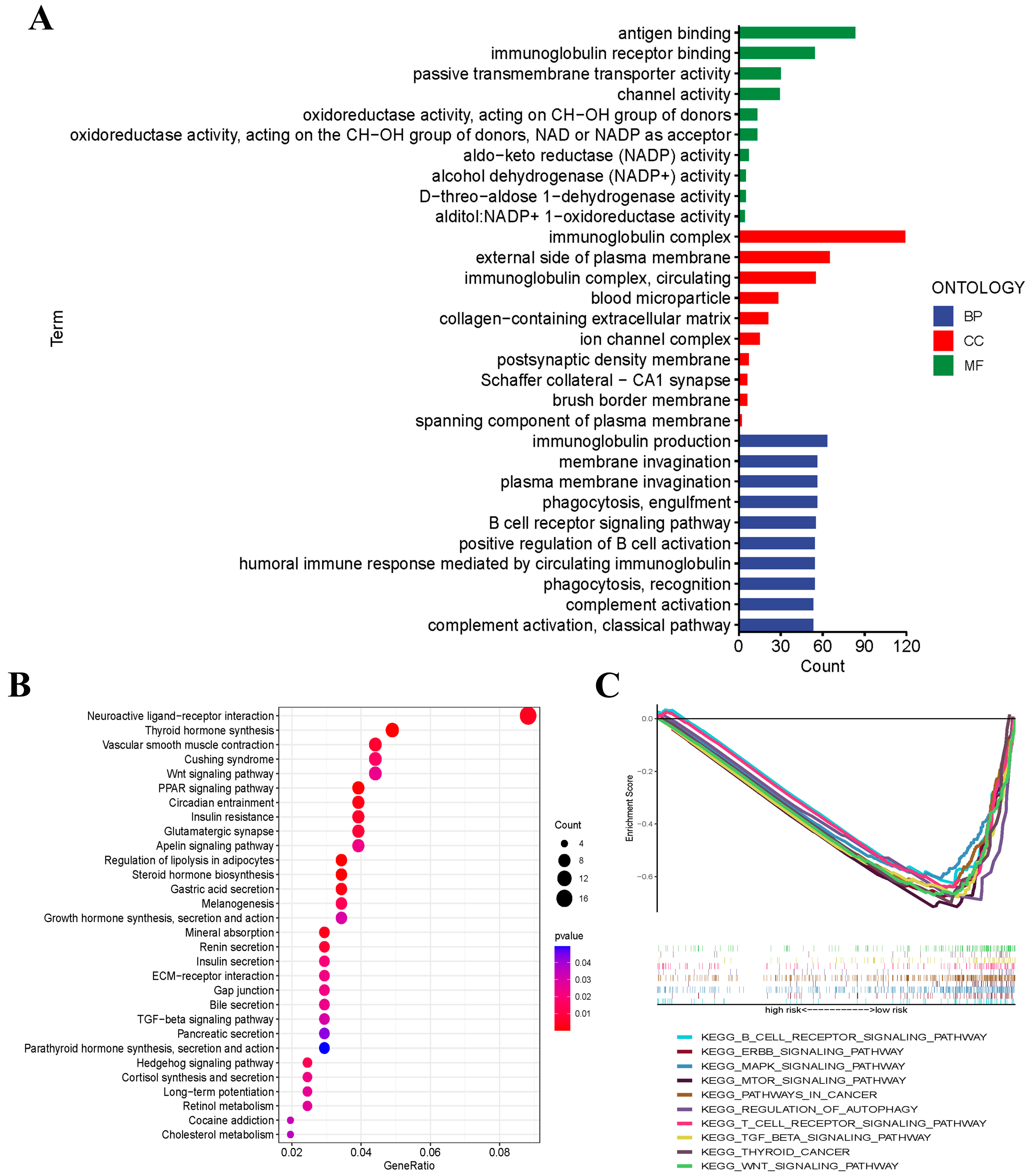 Jcm 12 02014 g005 Jcm 12 02014 g005