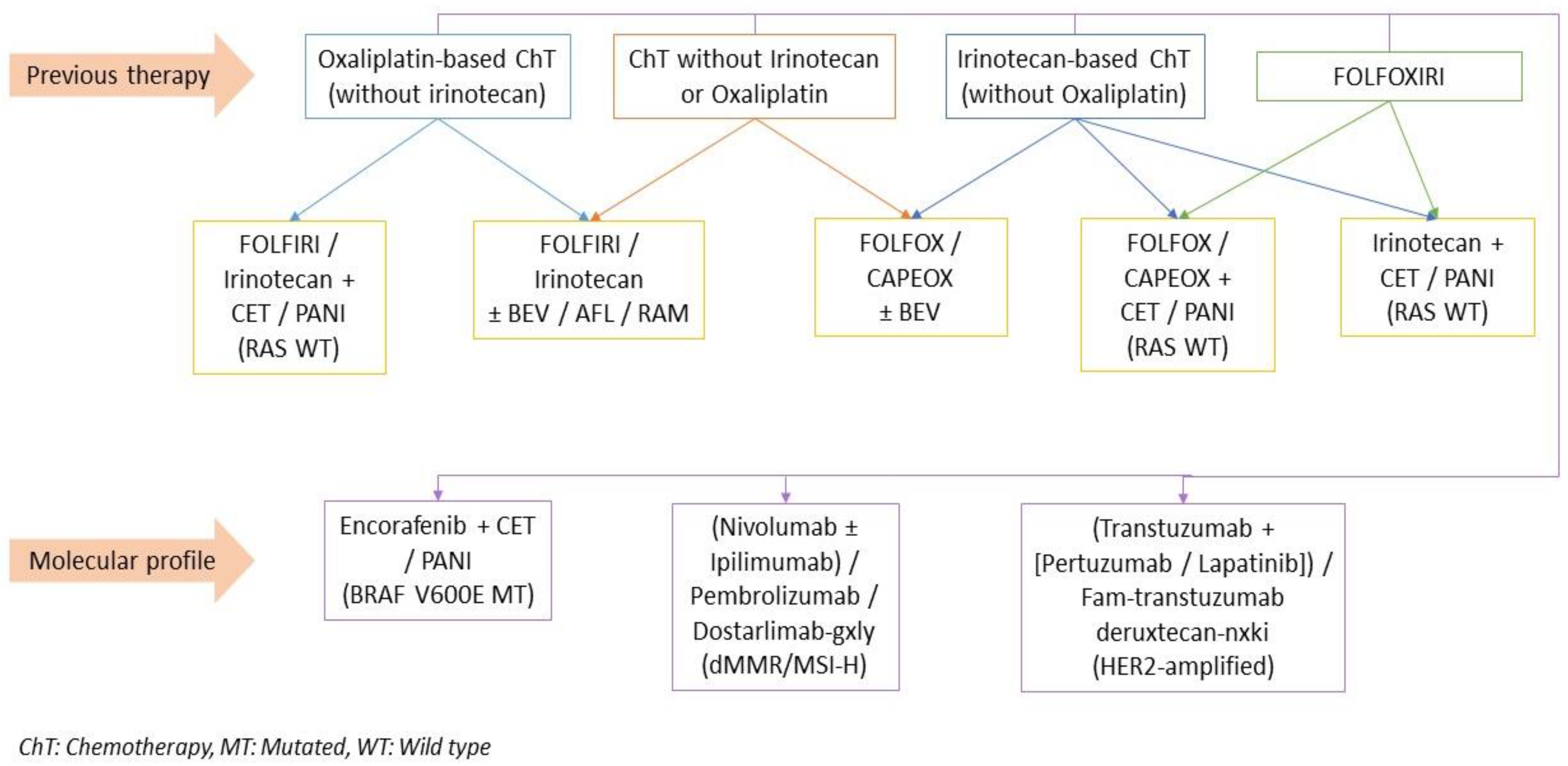 Jcm Free Full Text Stage Iv Colorectal Cancer Management And Treatment 3811