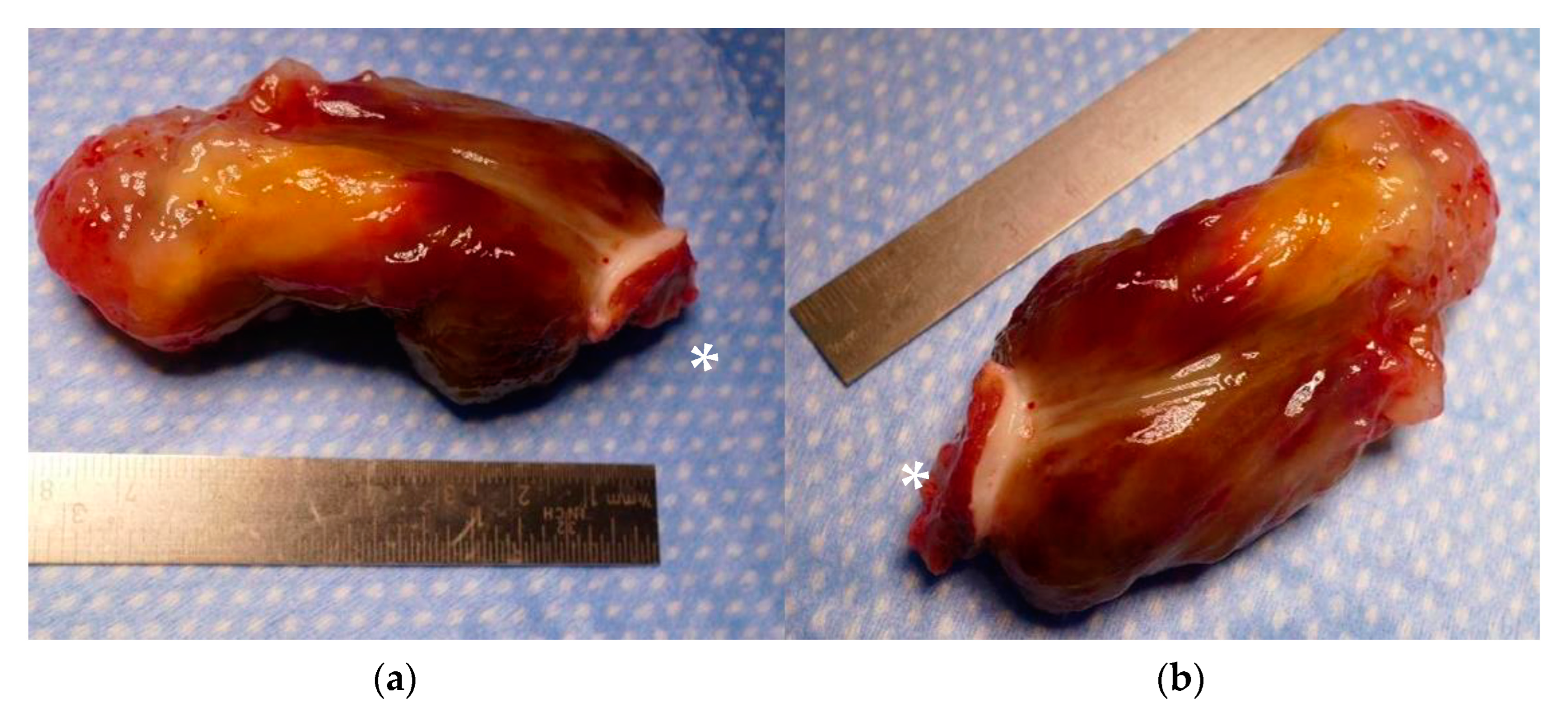 Jcm 12 02075 g004 Jcm 12 02075 g004