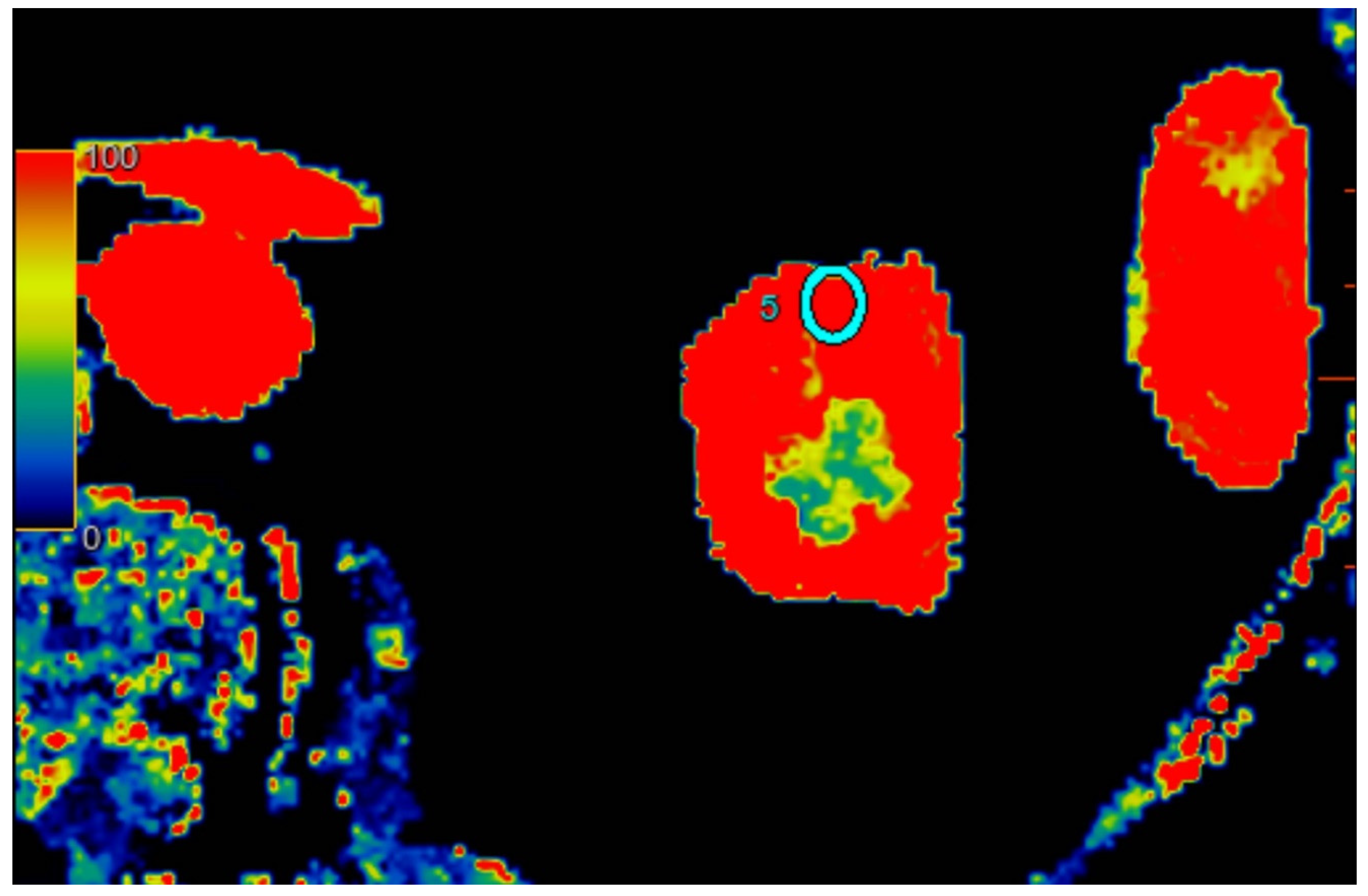 Jcm 12 02111 g001 Jcm 12 02111 g001