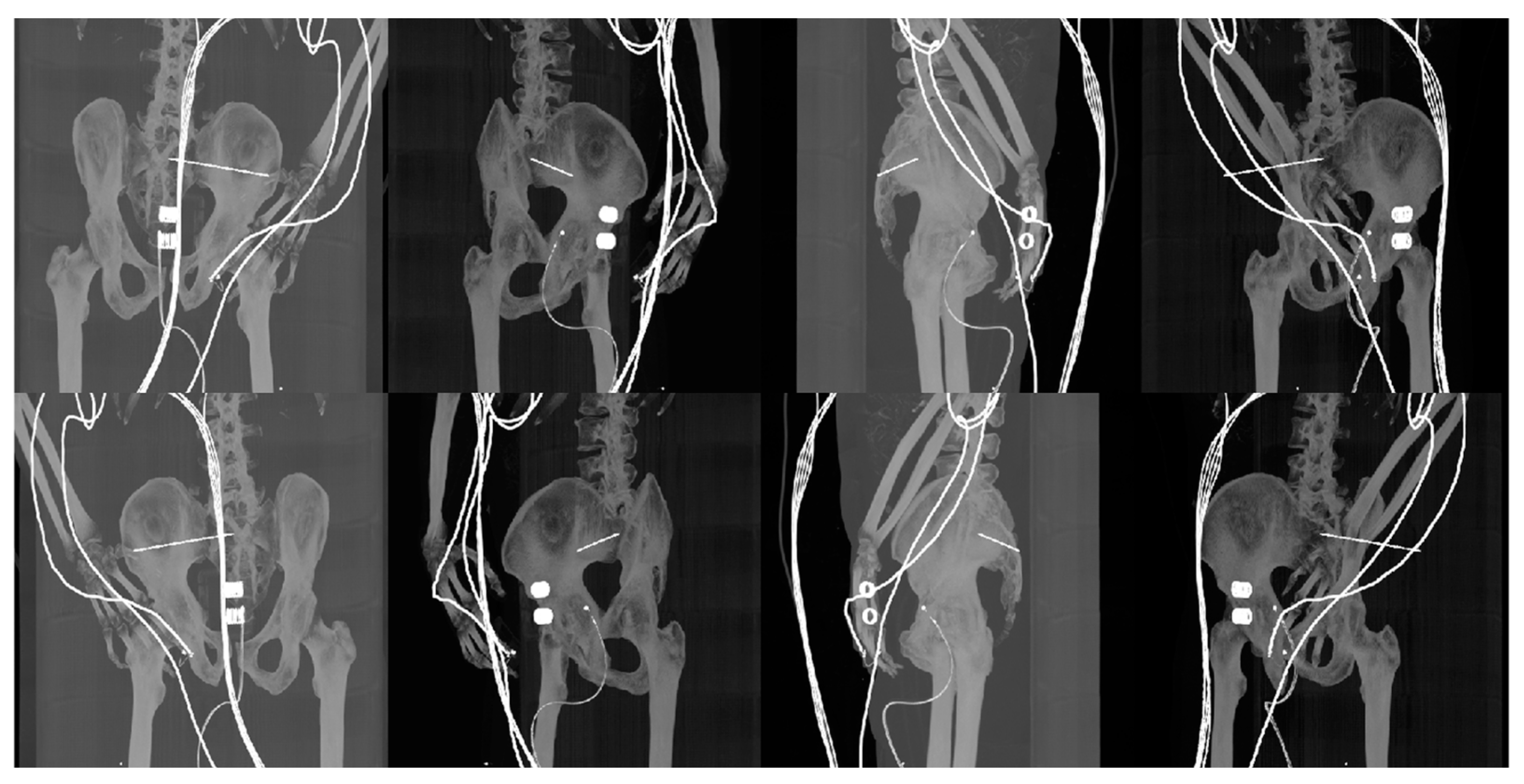 Jcm 12 02138 g005 Jcm 12 02138 g005