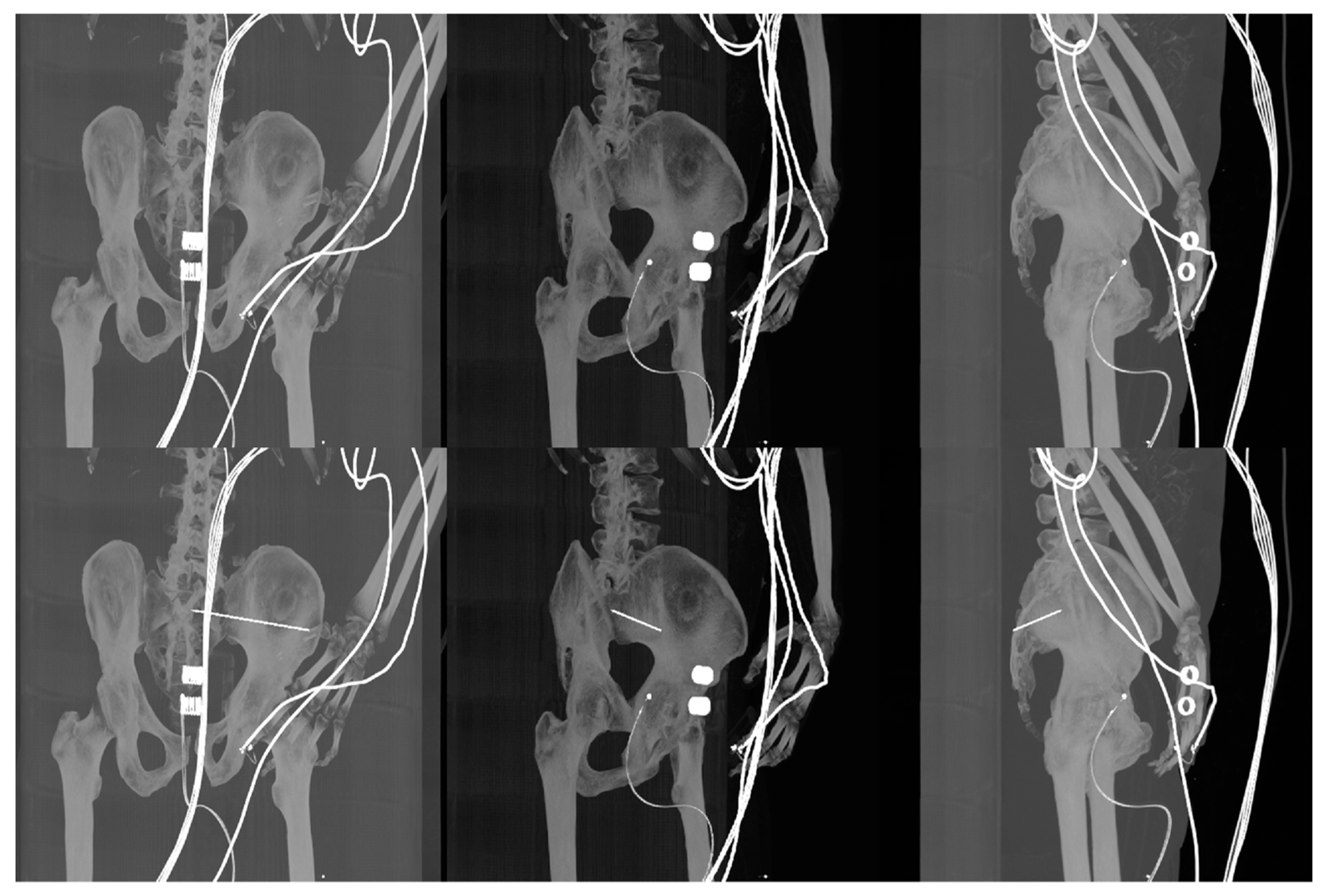 Jcm 12 02138 g014 Jcm 12 02138 g014