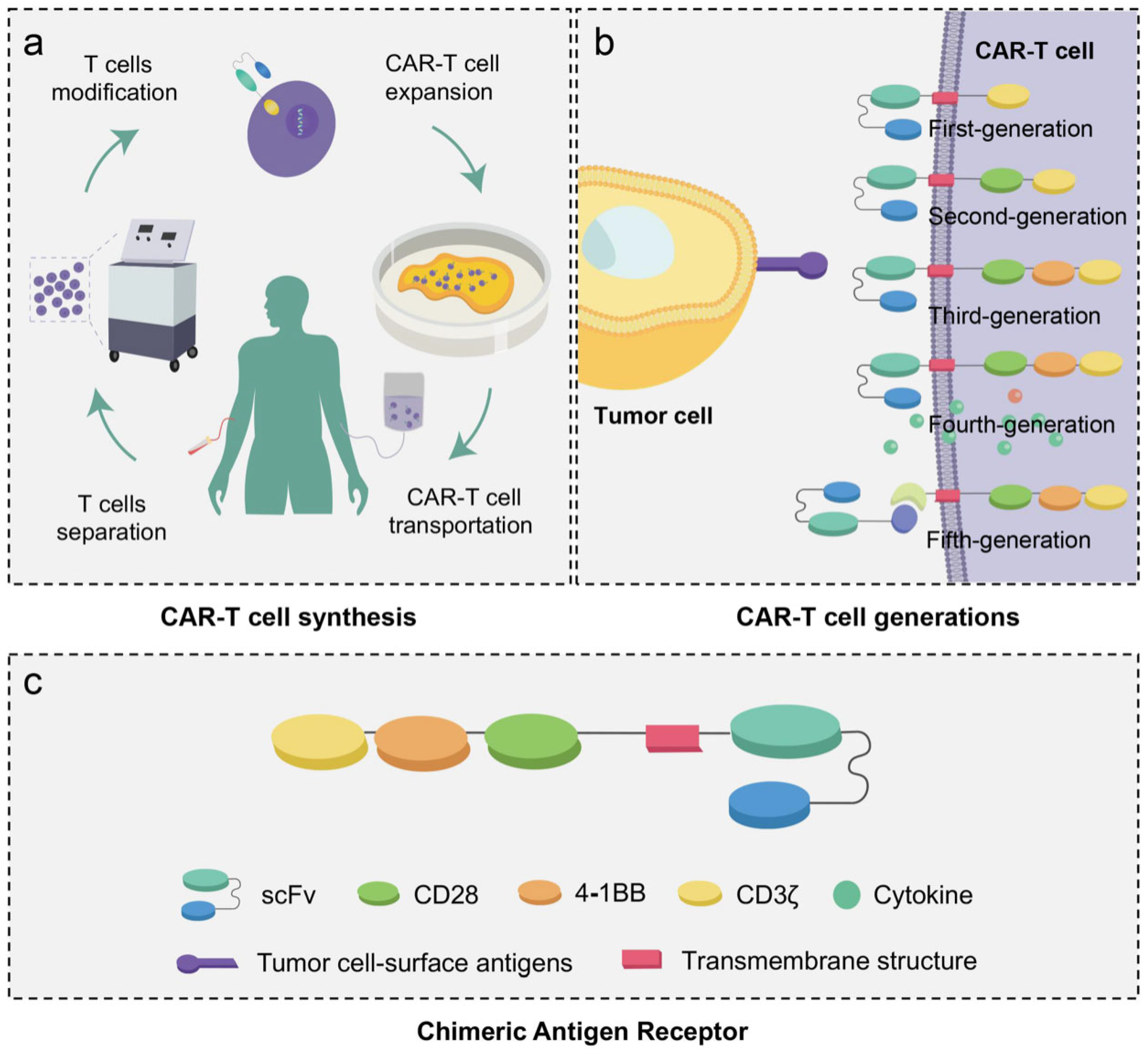 JCM | Free Full-Text | Advances In CAR-T Cell Therapy In Head And Neck ...