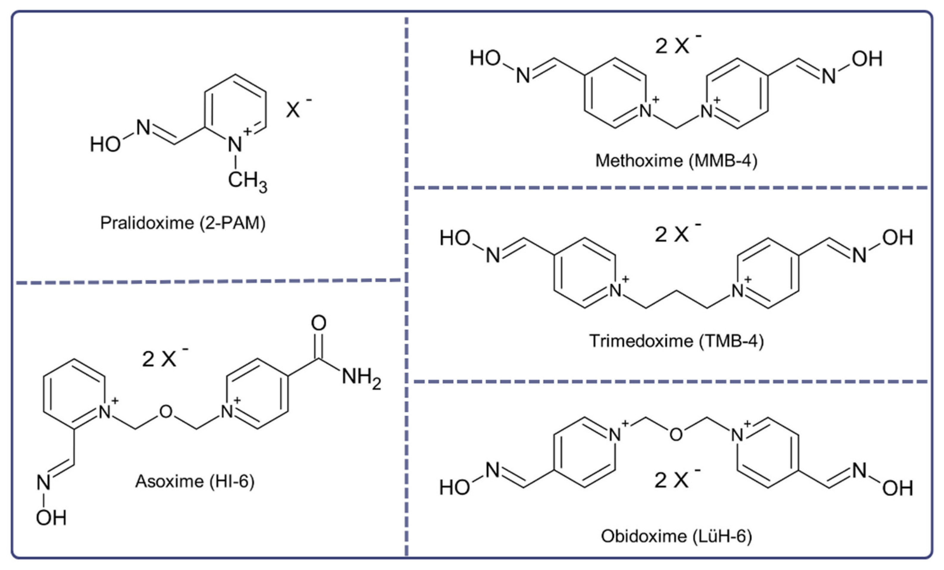 Jcm 12 02221 g004 Jcm 12 02221 g004