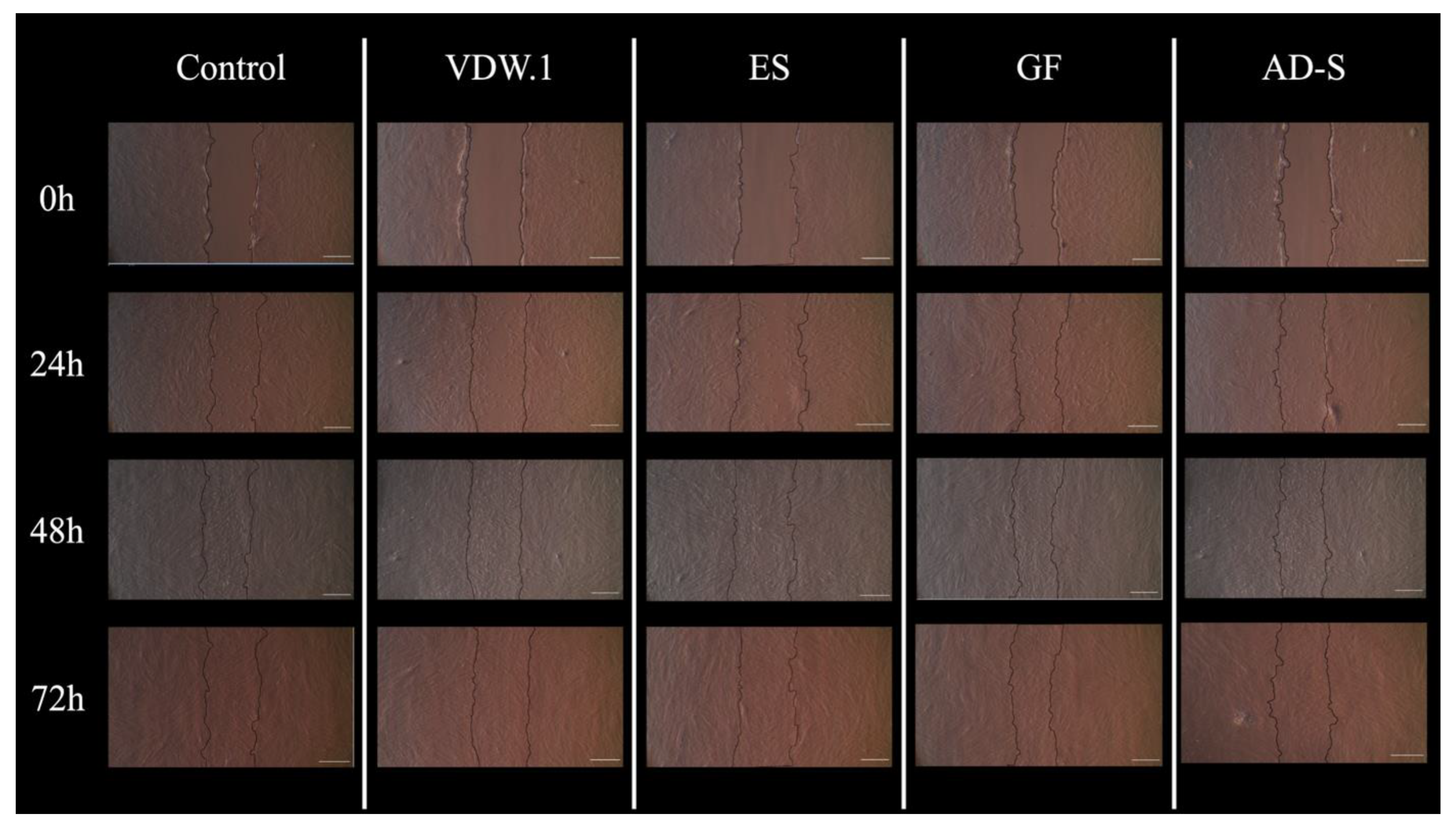 Jcm 12 02344 g004 Jcm 12 02344 g004