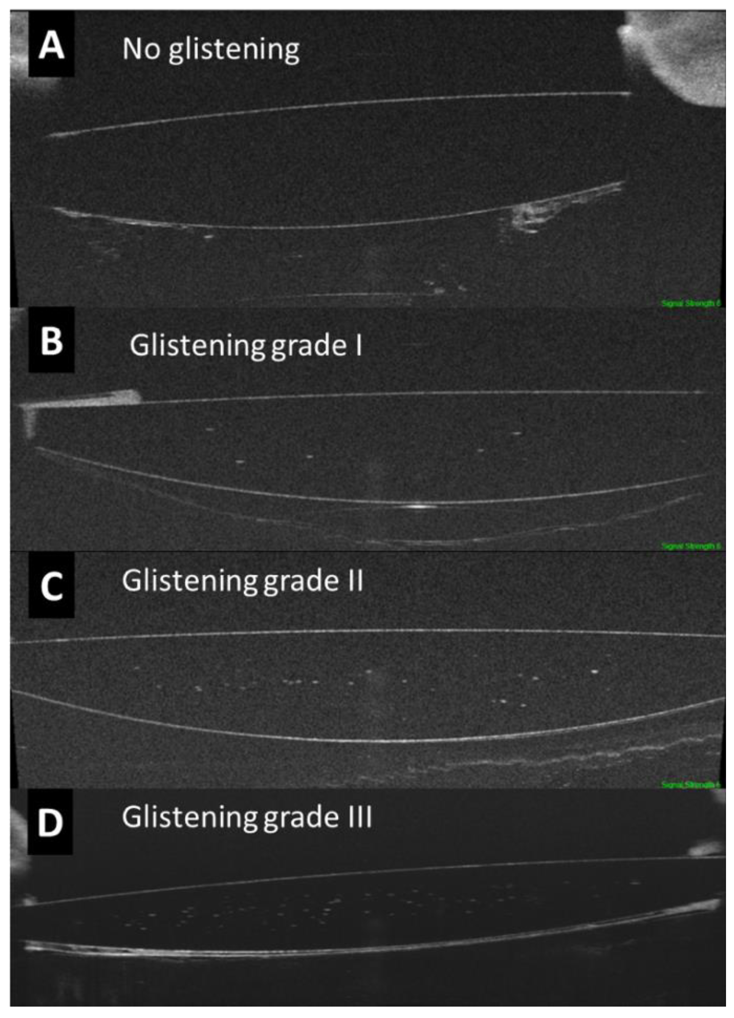 Jcm 12 02351 g002 Jcm 12 02351 g002