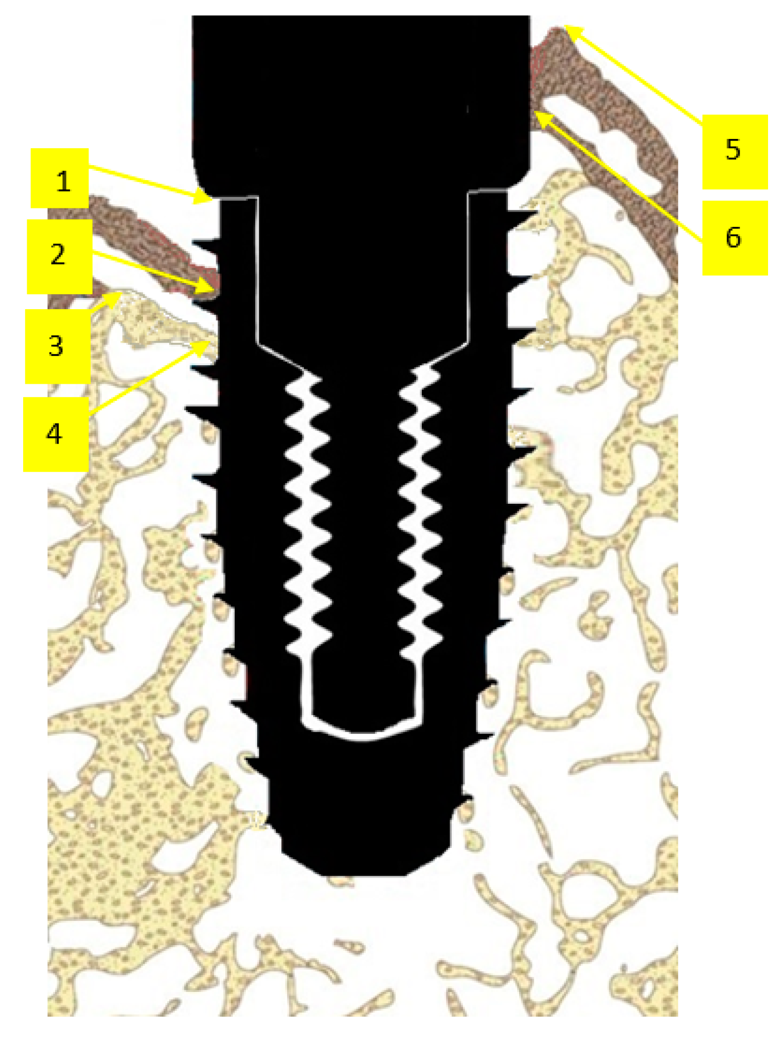 Jcm 12 02462 g002 Jcm 12 02462 g002