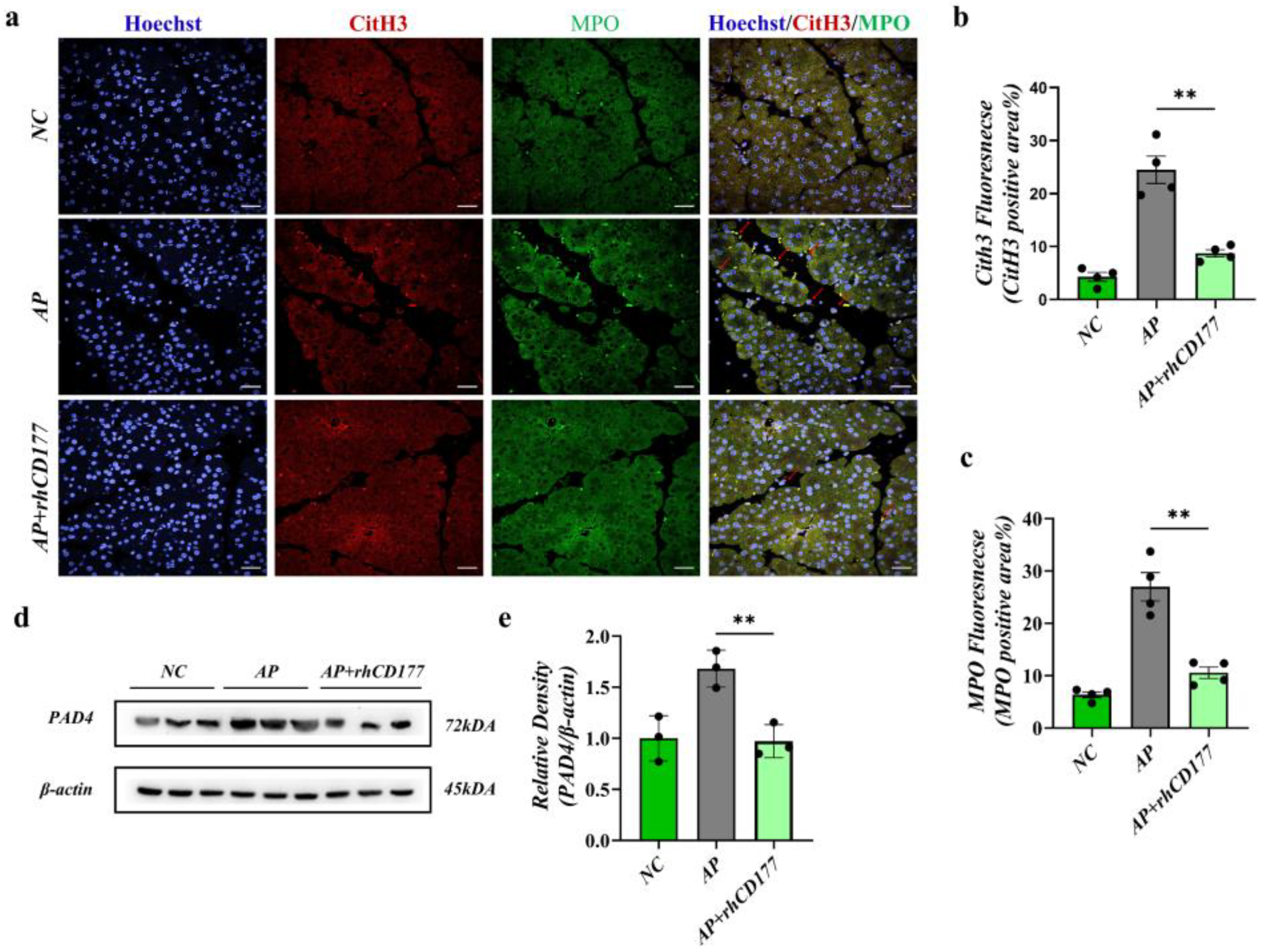 Jcm 12 02533 g006 Jcm 12 02533 g006