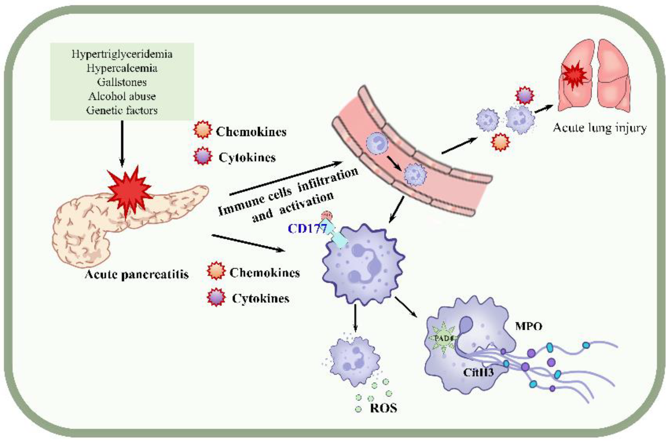 Jcm 12 02533 g007 Jcm 12 02533 g007