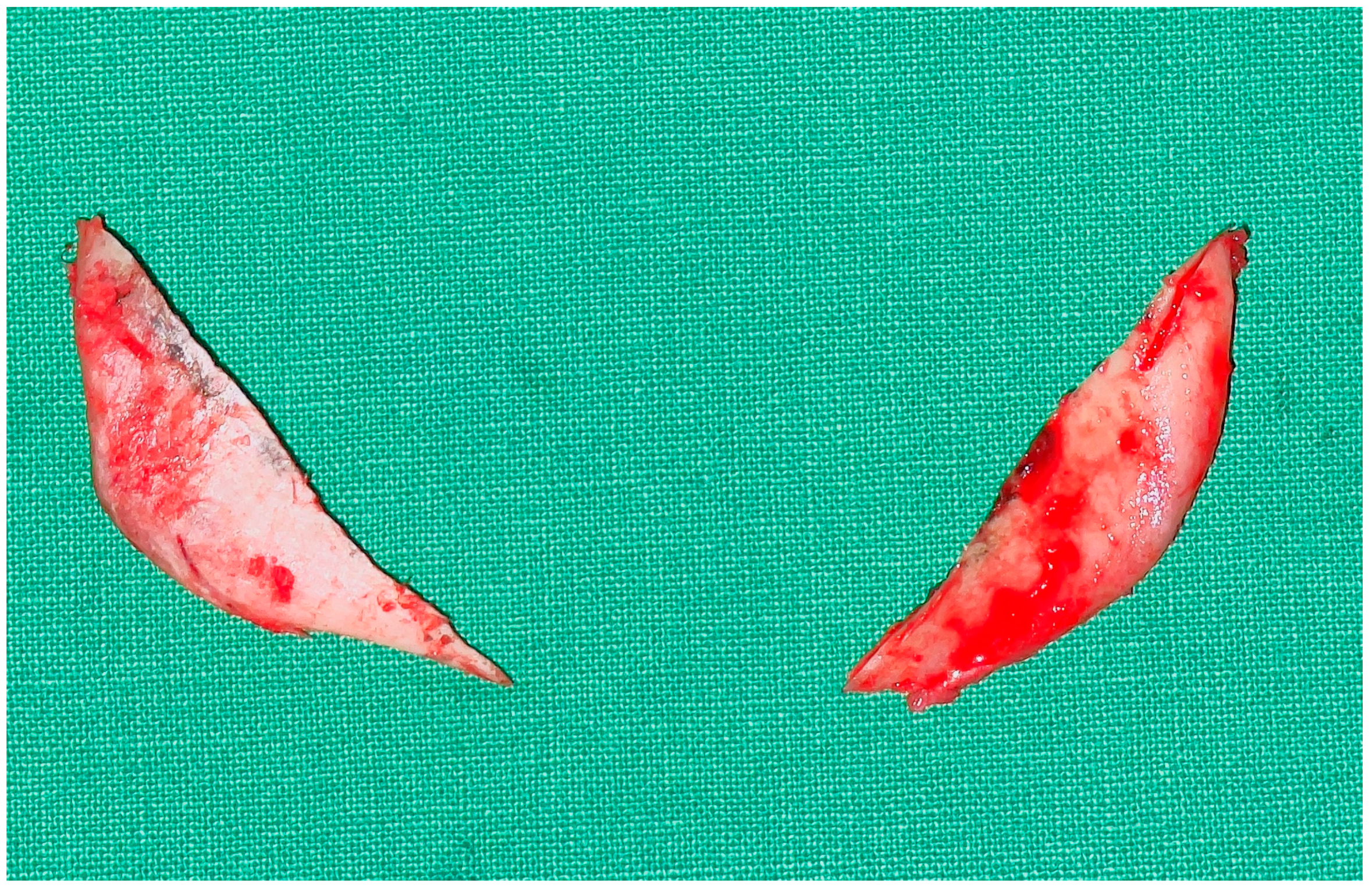 Jcm 12 02641 g006 Jcm 12 02641 g006