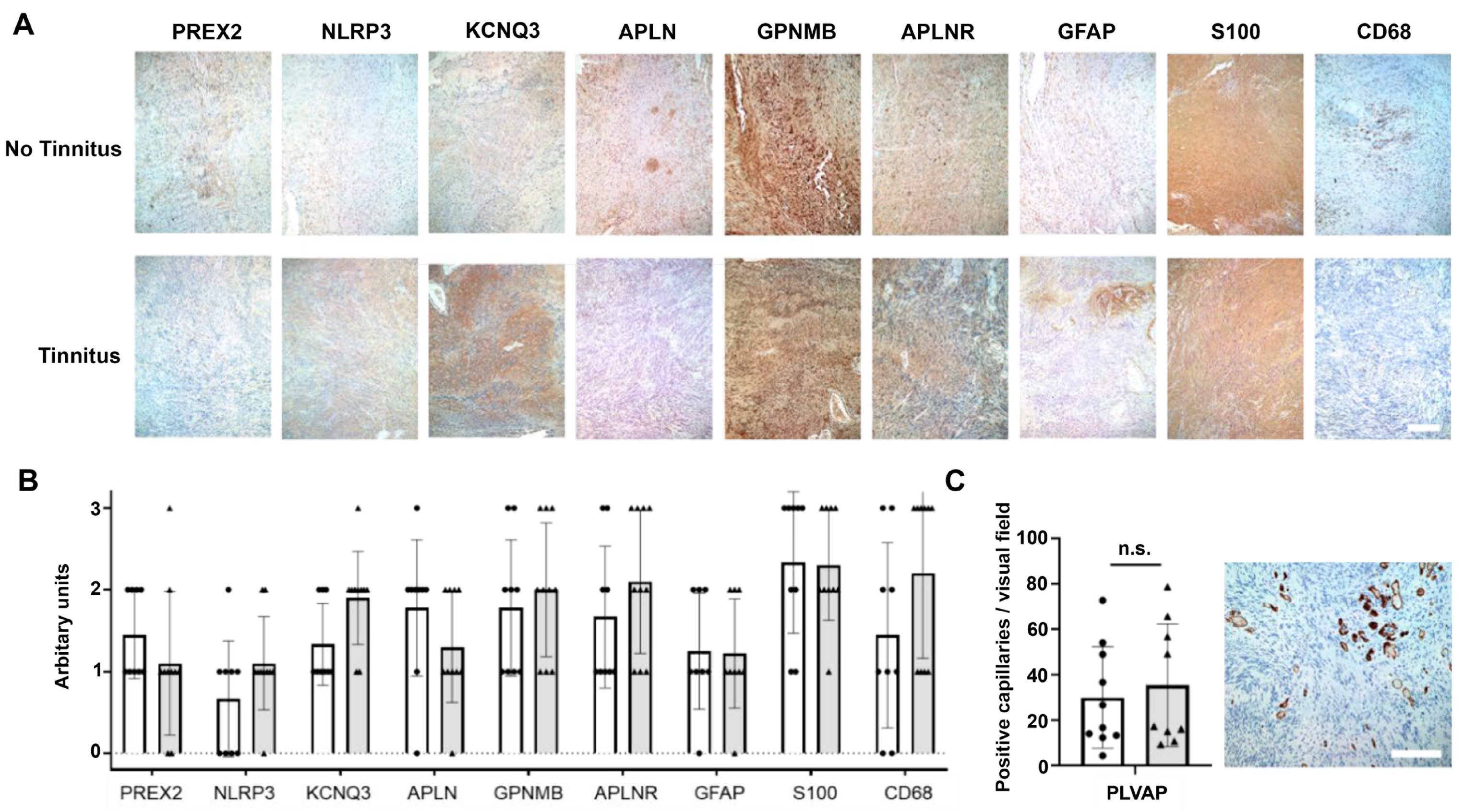 Jcm 12 02642 g006 Jcm 12 02642 g006