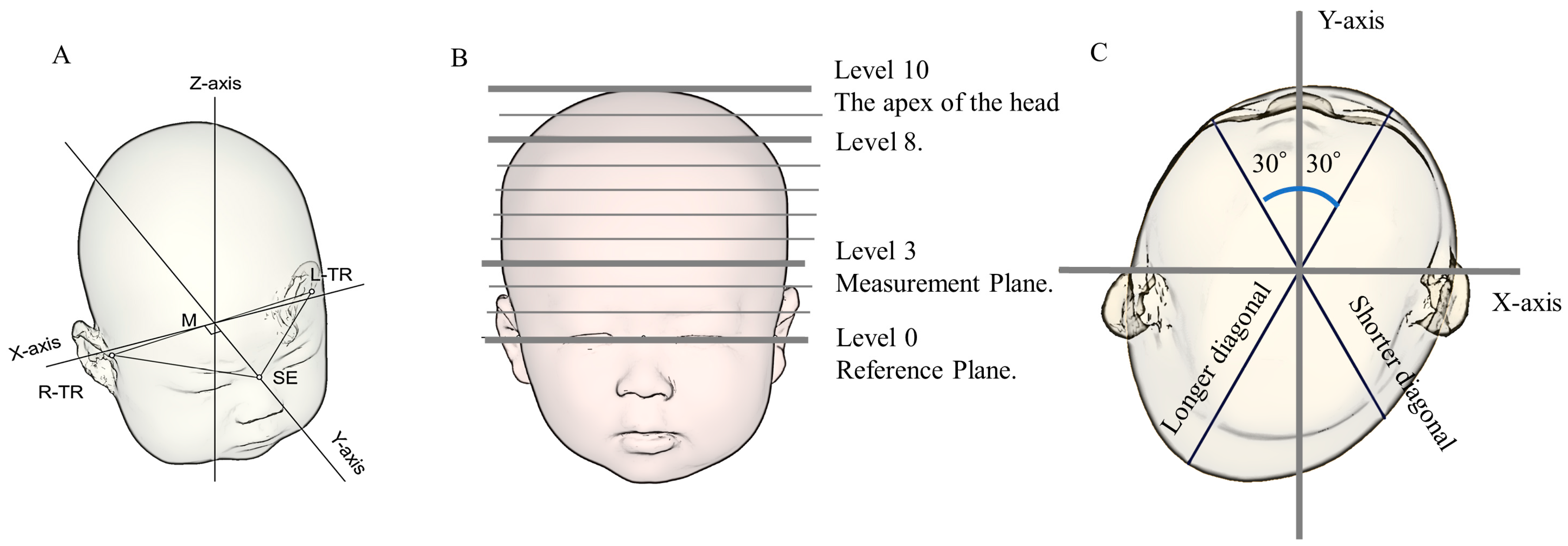 Jcm 12 02787 g002 Jcm 12 02787 g002