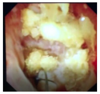 Jcm 12 02820 i001 Jcm 12 02820 i001