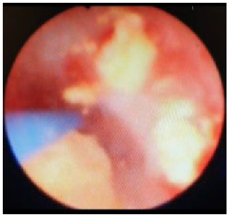 Jcm 12 02820 i002 Jcm 12 02820 i002