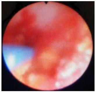 Jcm 12 02820 i003 Jcm 12 02820 i003