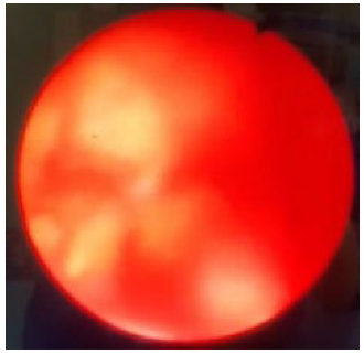 Jcm 12 02820 i004 Jcm 12 02820 i004