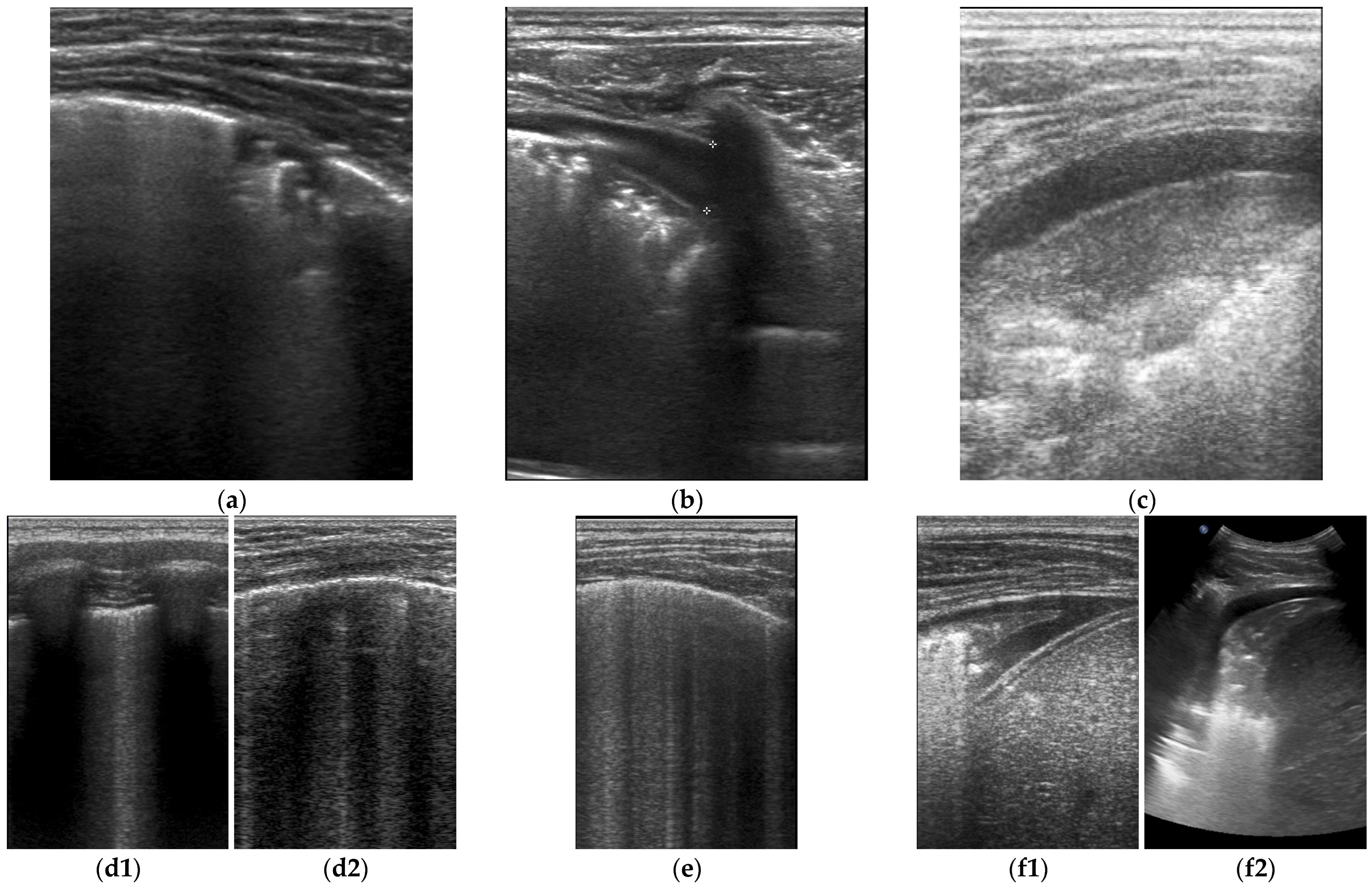Jcm 12 02850 g001 Jcm 12 02850 g001
