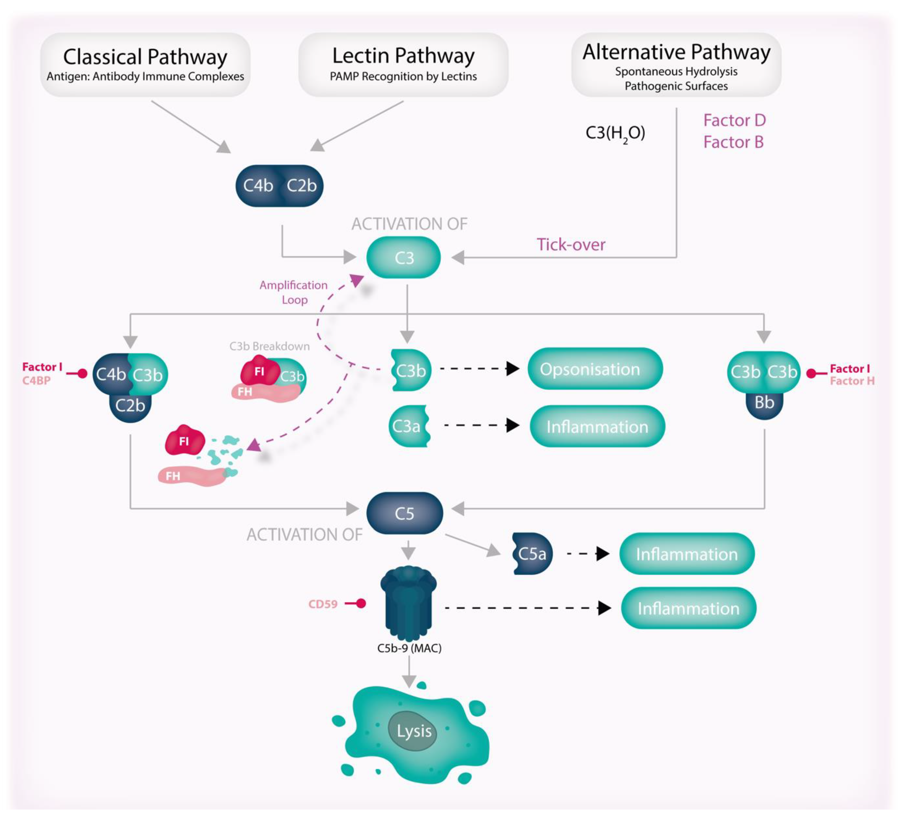 Jcm 12 02870 g005 Jcm 12 02870 g005