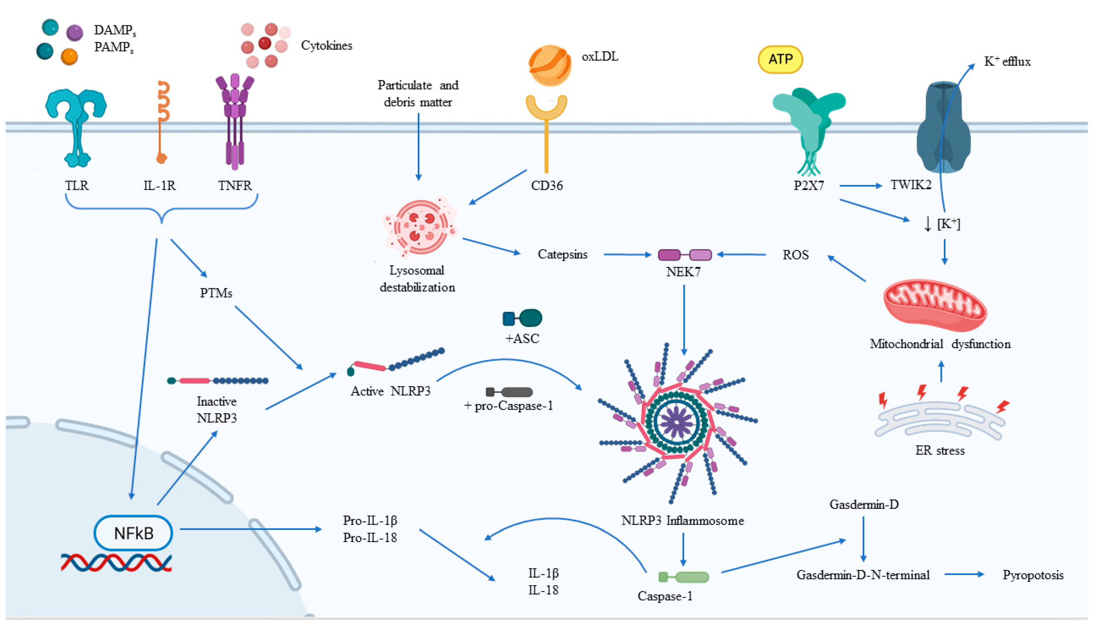 Jcm 12 02883 g002 Jcm 12 02883 g002