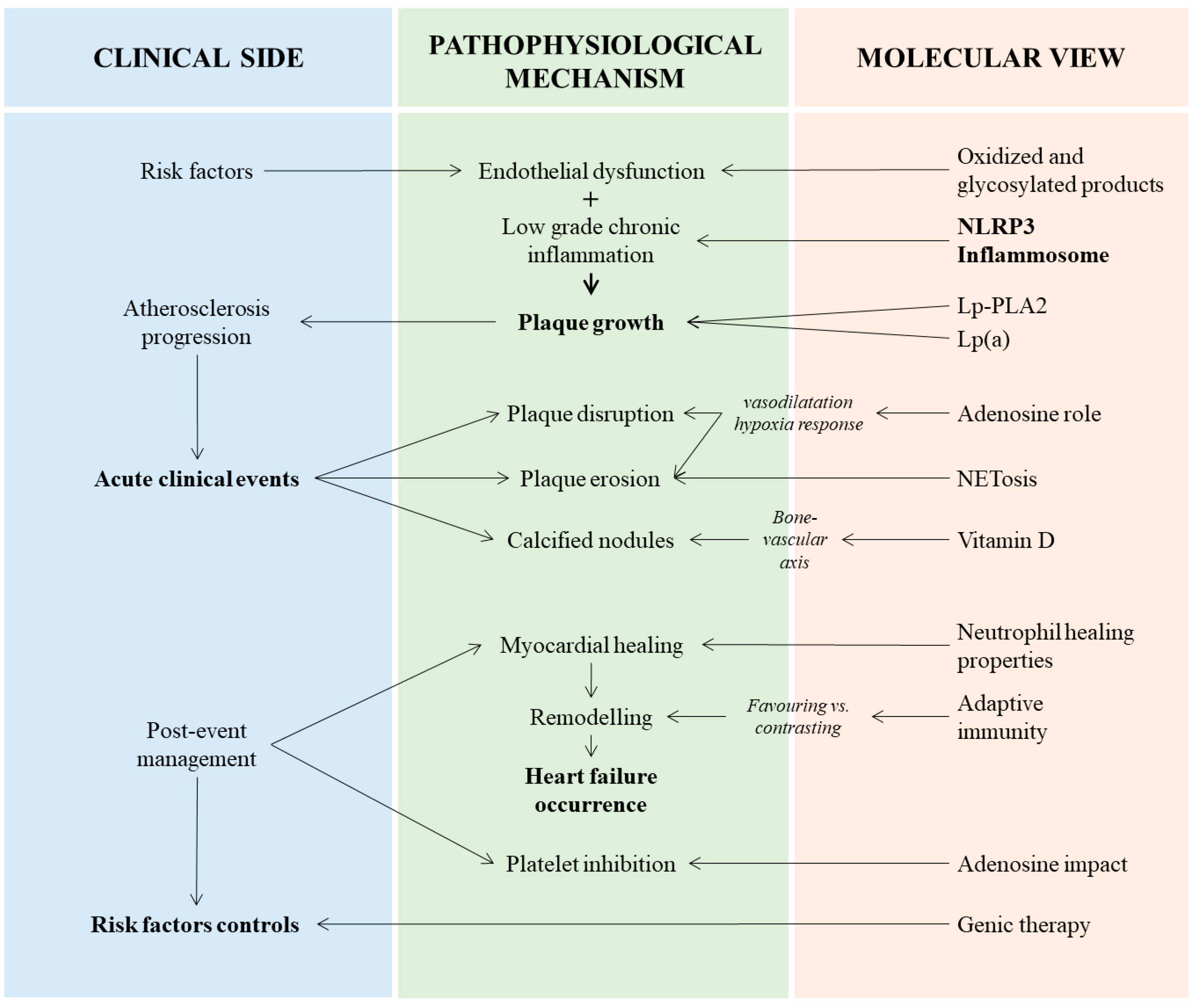 Jcm 12 02883 g003 Jcm 12 02883 g003