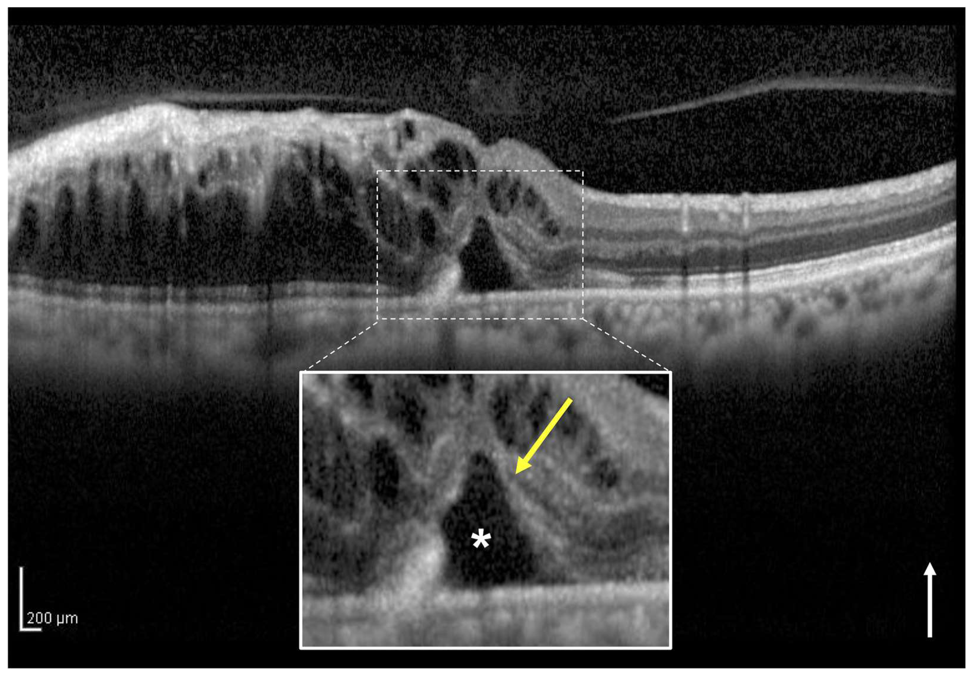 Jcm 12 02909 g002 Jcm 12 02909 g002