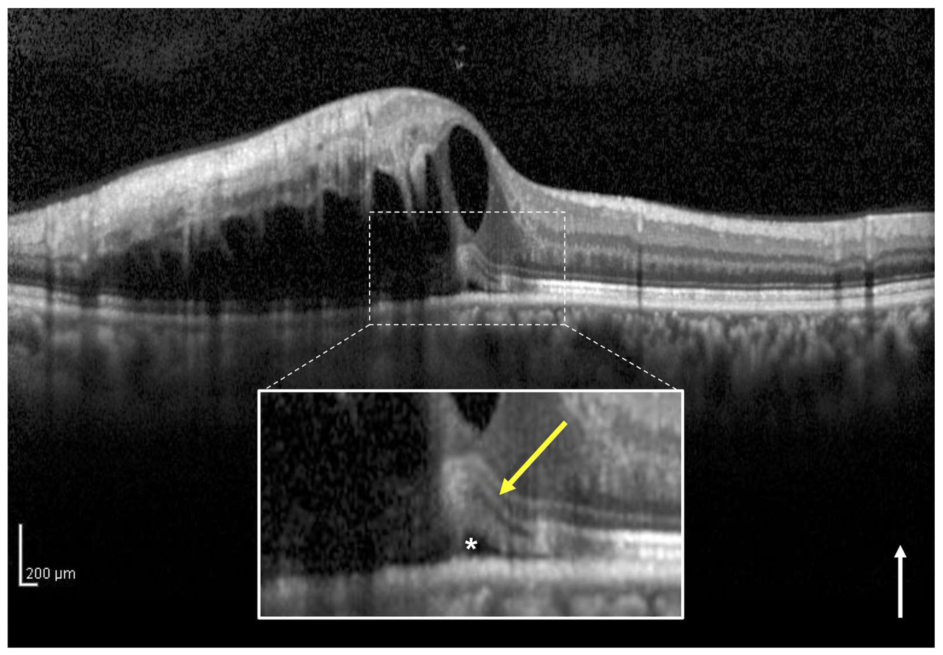 Jcm 12 02909 g003 Jcm 12 02909 g003