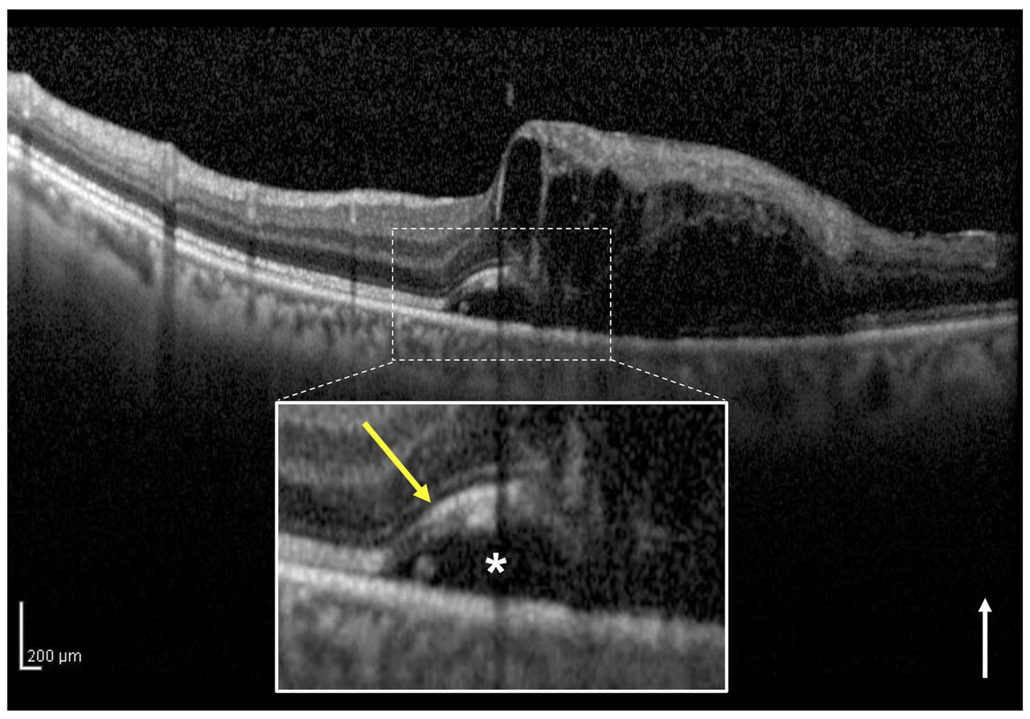 Jcm 12 02909 g004 Jcm 12 02909 g004