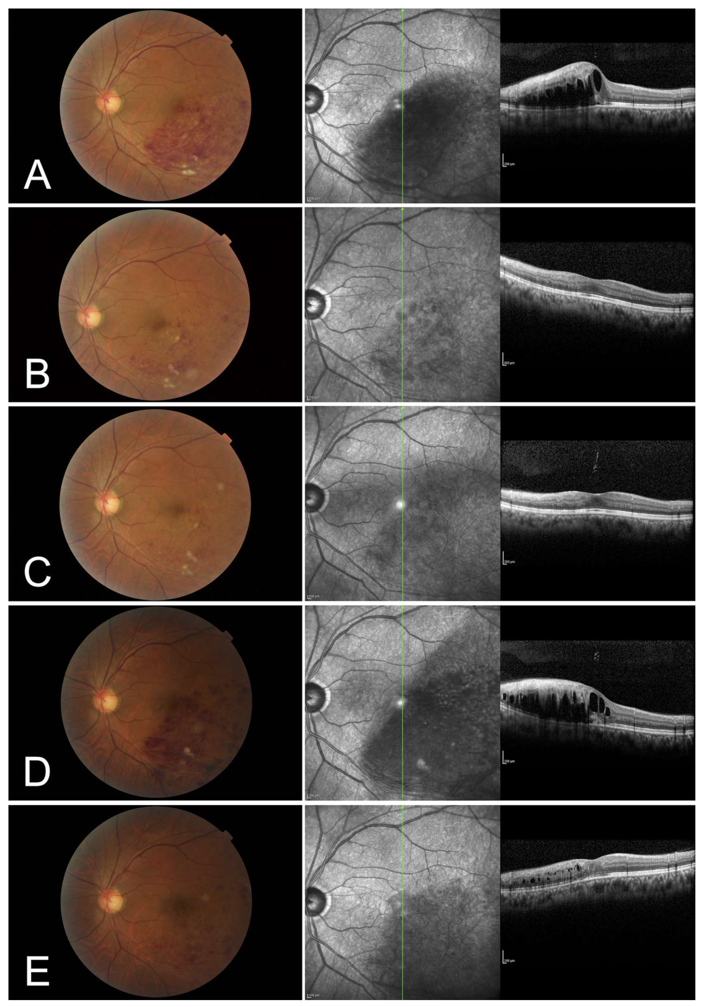 Jcm 12 02909 g005 Jcm 12 02909 g005