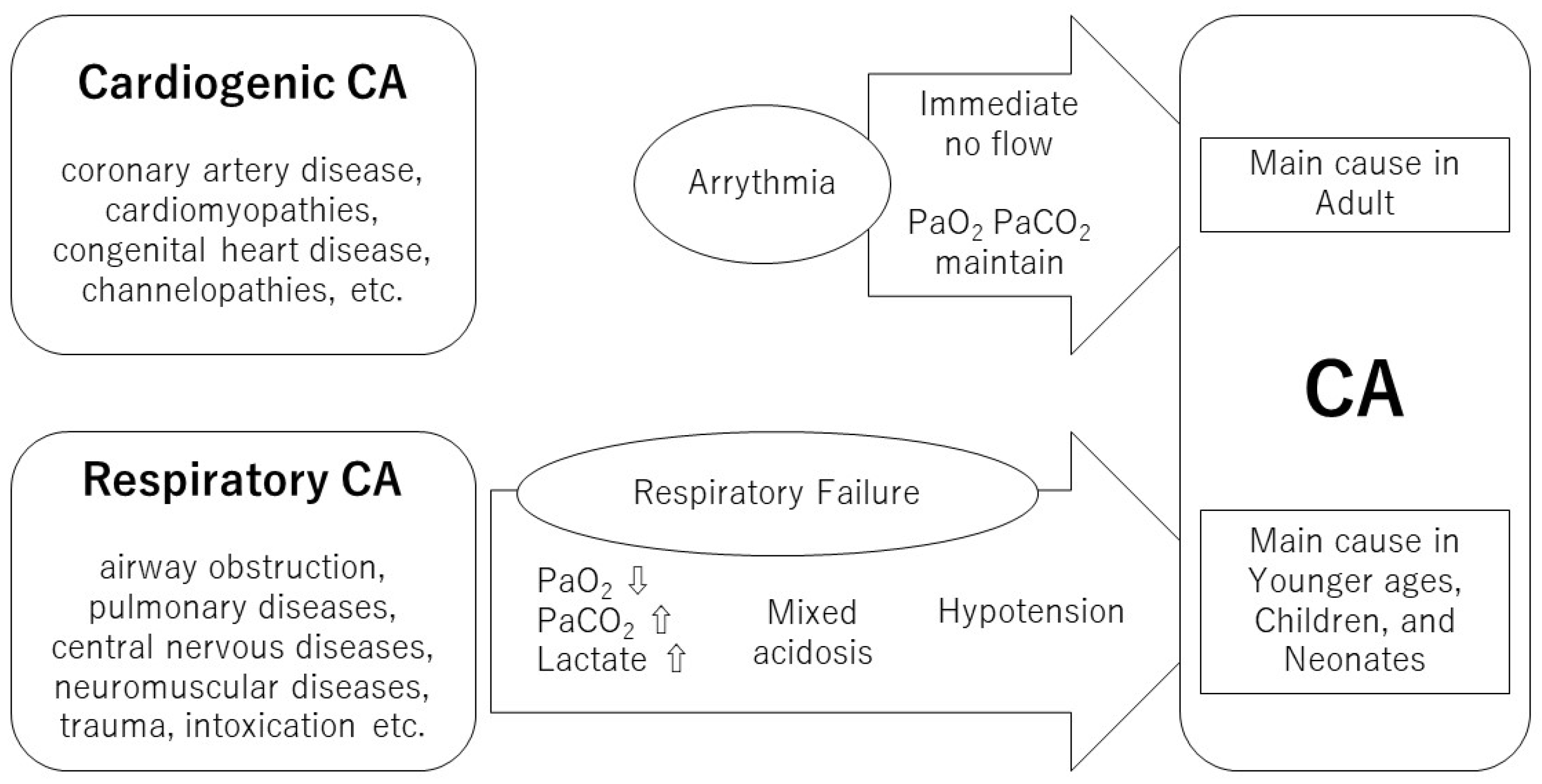 Cardiac Arrest - CPR, defibrillation, medications, airway