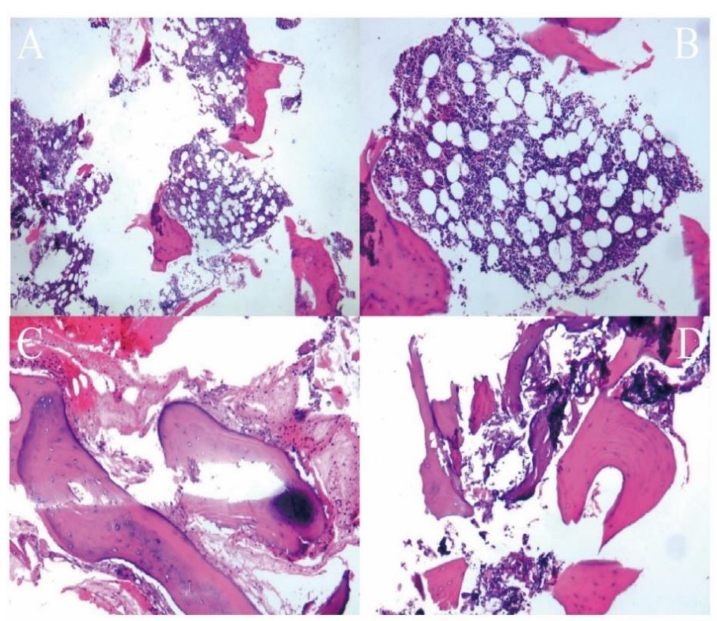 Jcm 12 02990 g005 Jcm 12 02990 g005