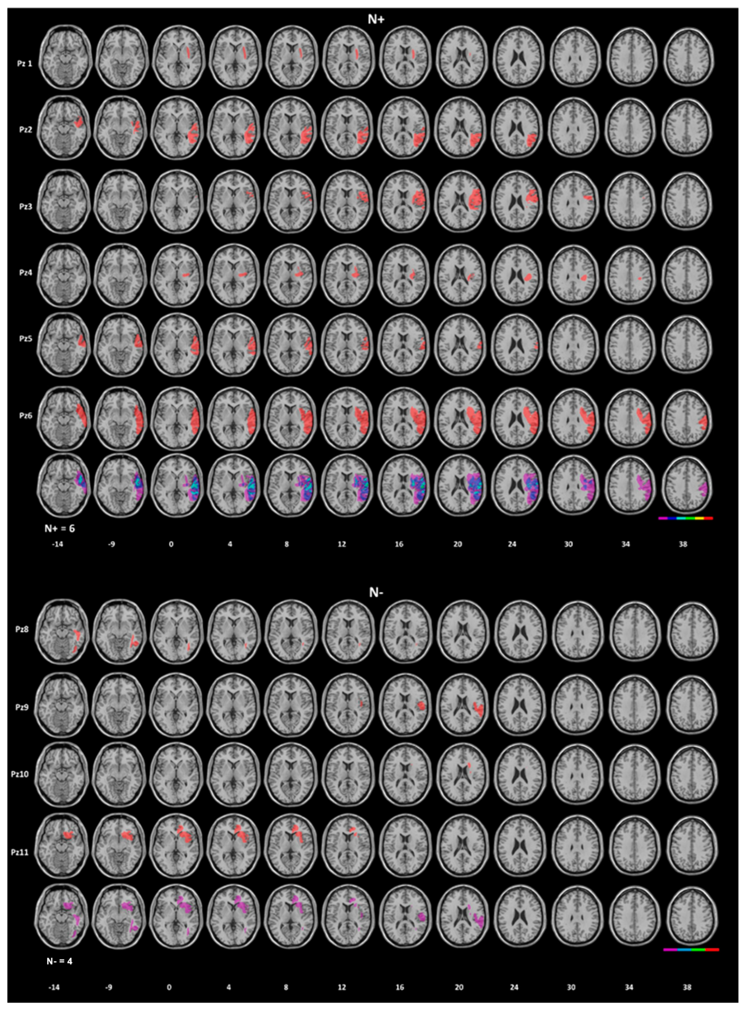 https://www.mdpi.com/jcm/jcm-12-03042/article_deploy/html/images/jcm-12-03042-g001.png