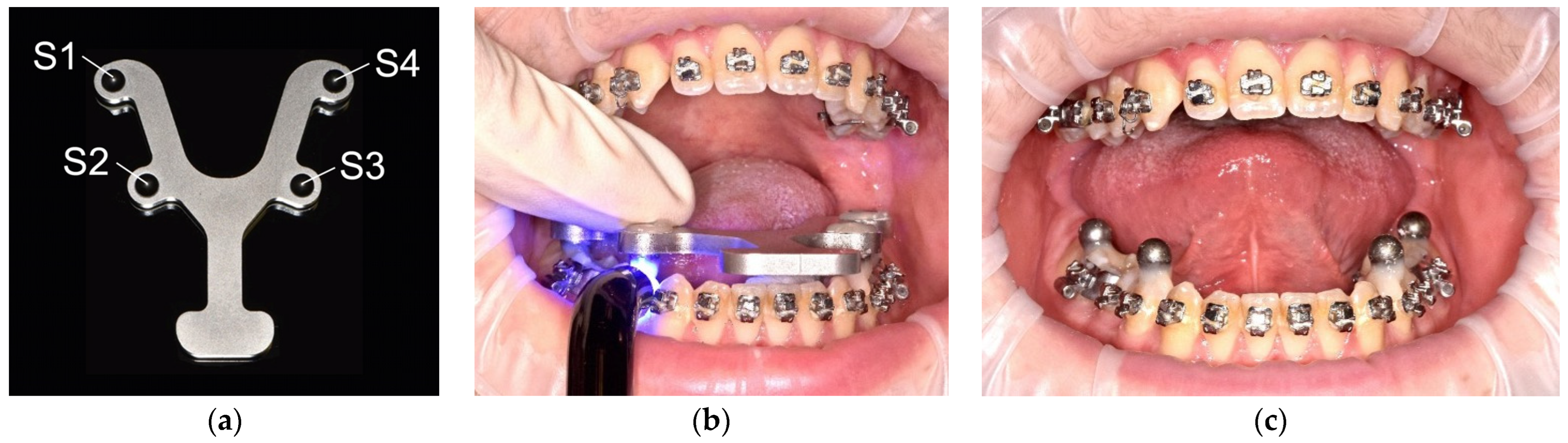 Jcm 12 03071 g001 Jcm 12 03071 g001