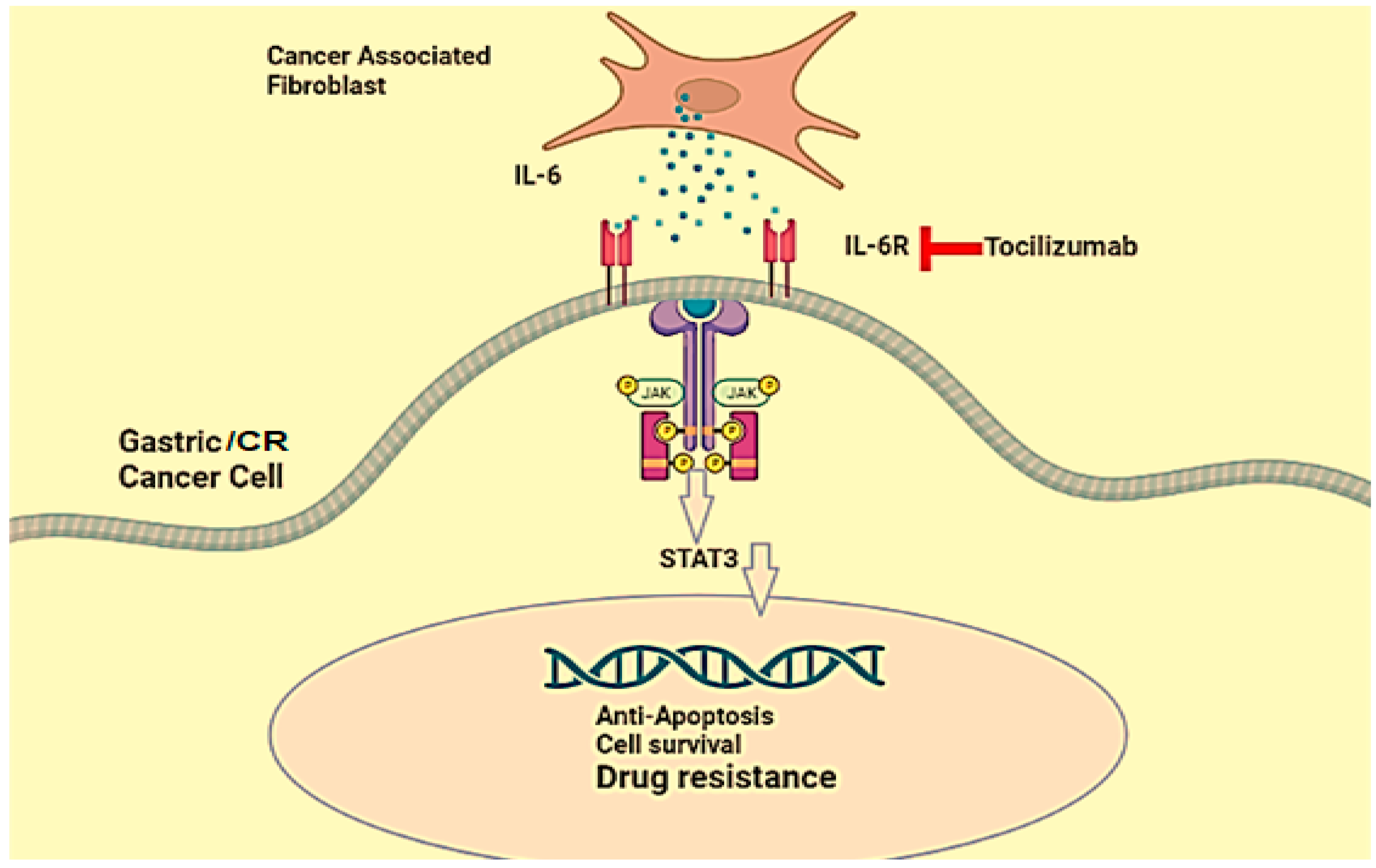 Jcm 12 03127 g004 Jcm 12 03127 g004
