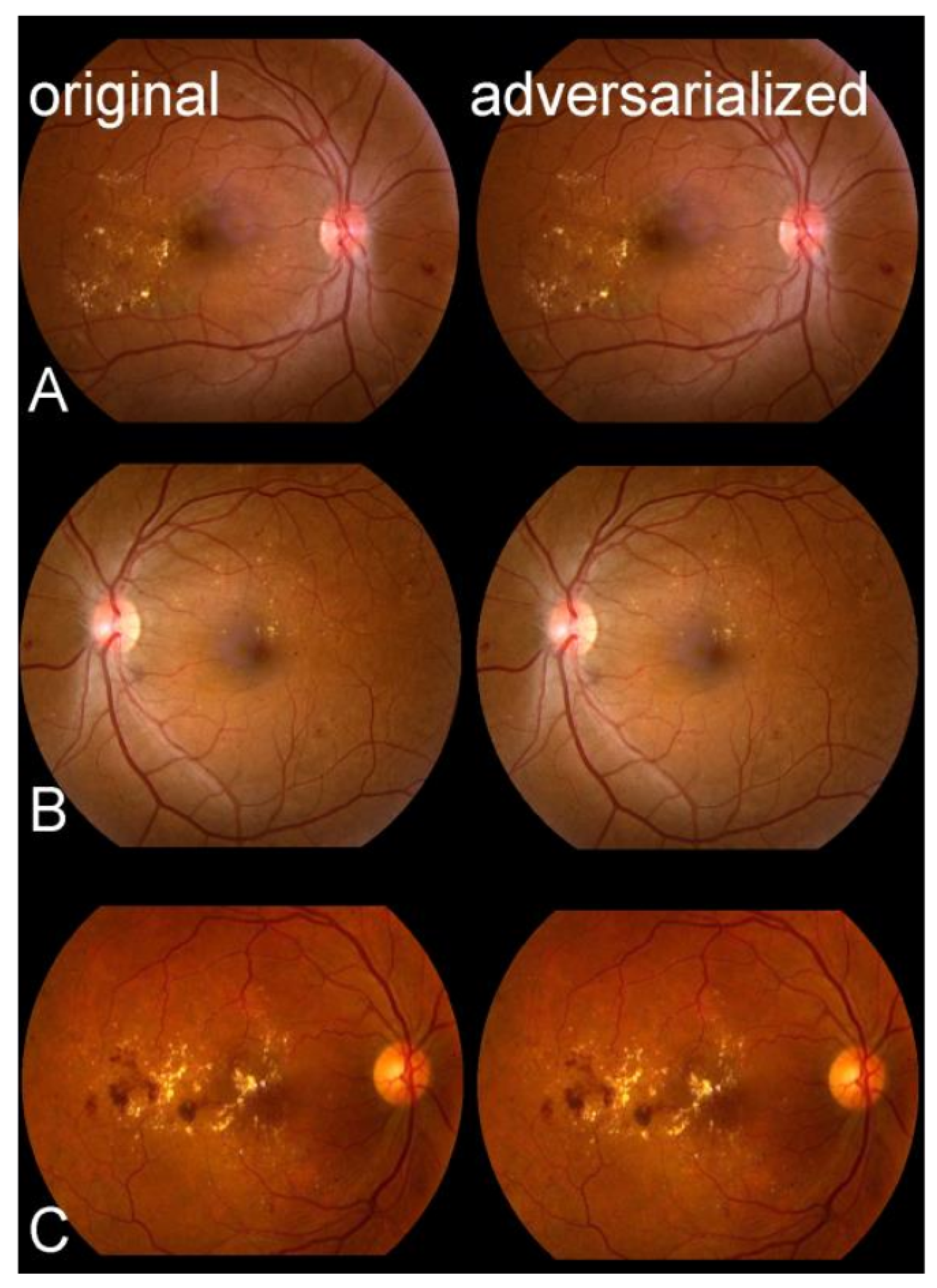 Jcm 12 03266 g002 Jcm 12 03266 g002