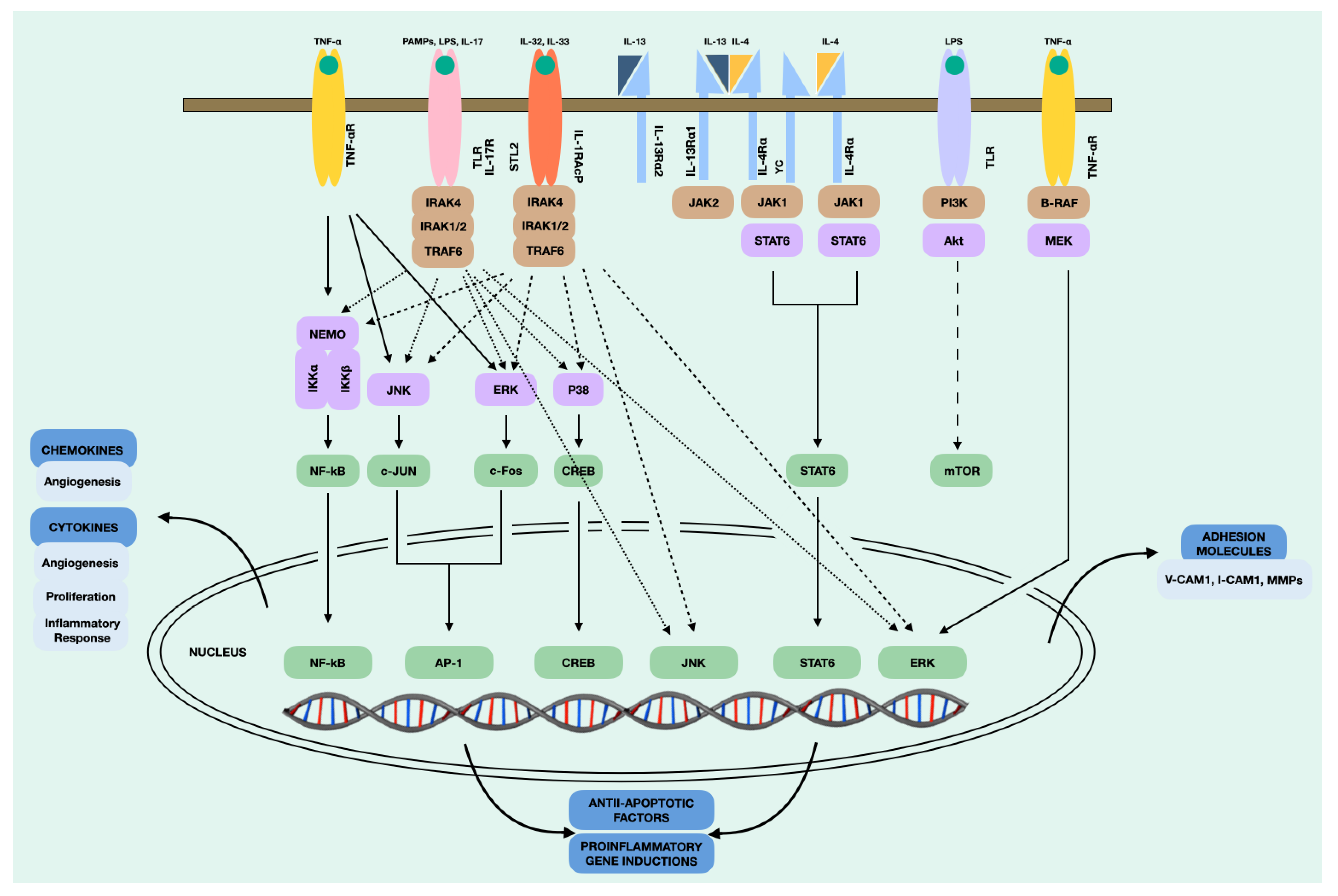 Jcm 12 03280 g004 Jcm 12 03280 g004