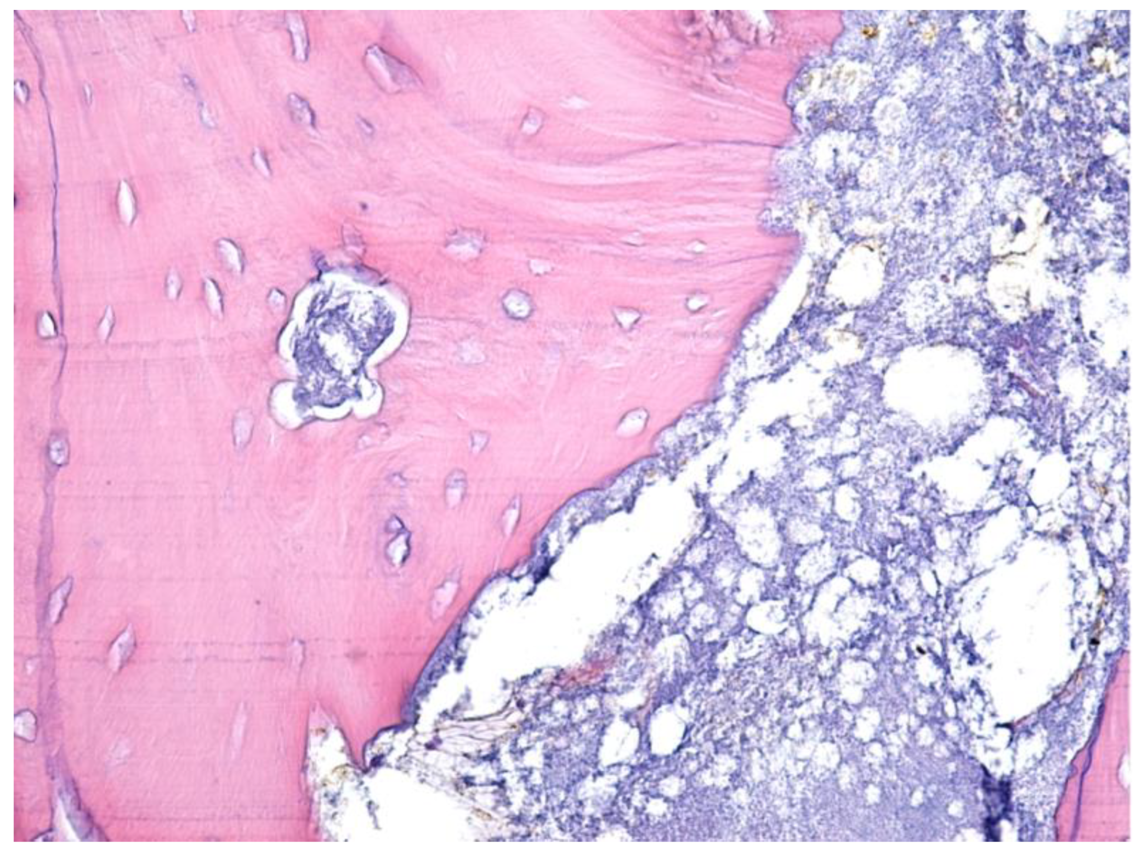 Jcm 12 03383 g007 Jcm 12 03383 g007
