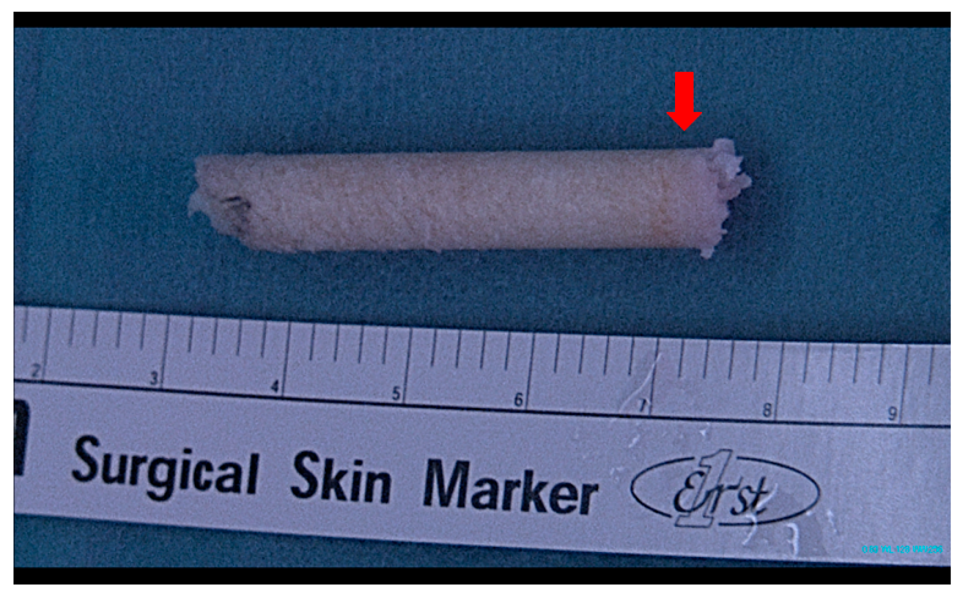 Jcm 12 03431 g005 Jcm 12 03431 g005