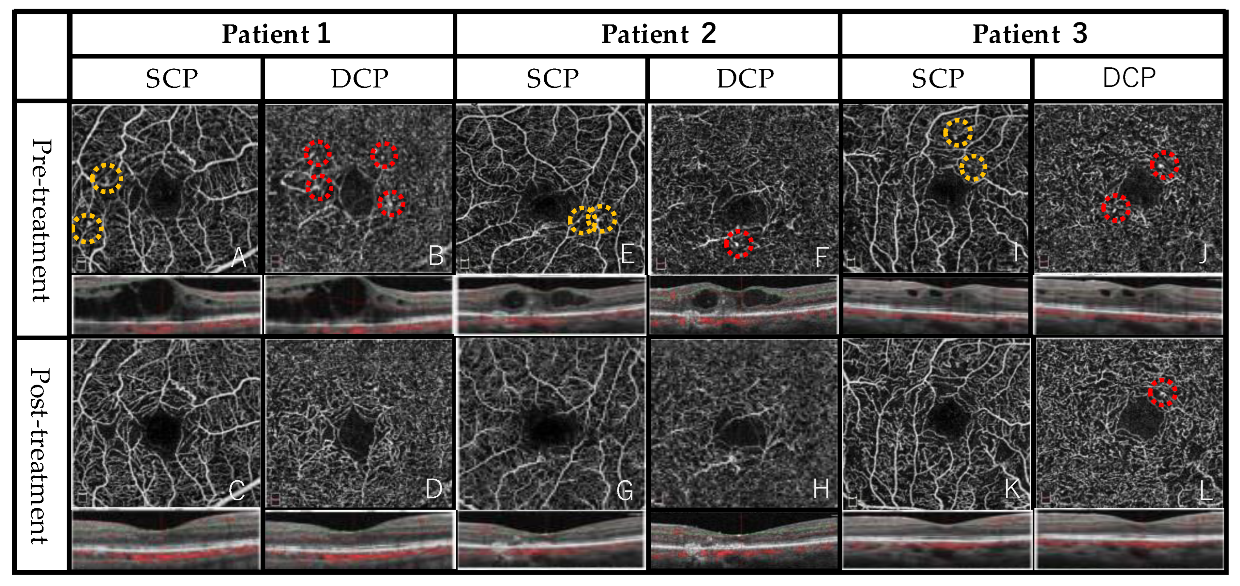 Jcm 12 03475 g002 Jcm 12 03475 g002