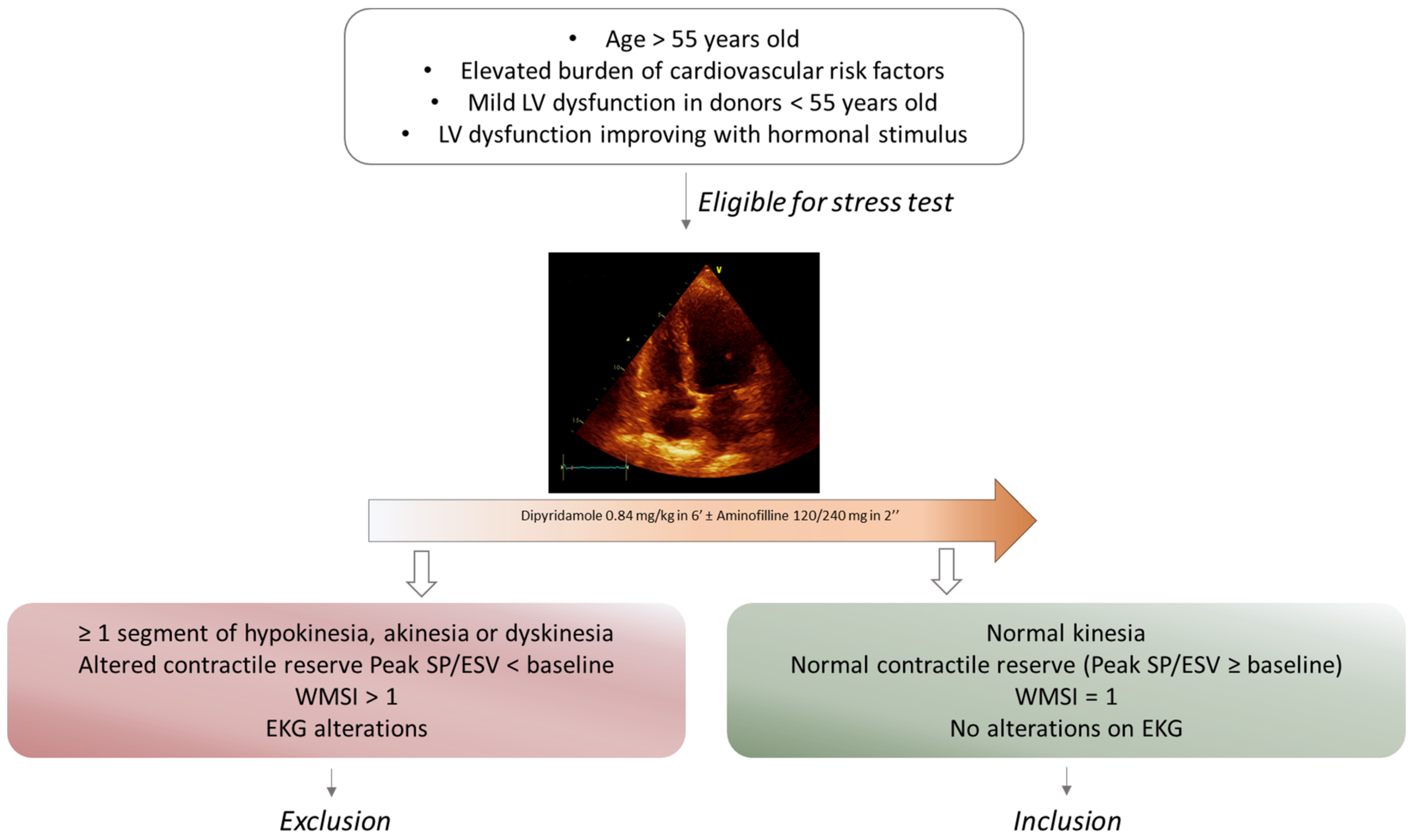 JCM | Free Full-Text | ADONHERS (Aged DONor HEart Rescue by Stress