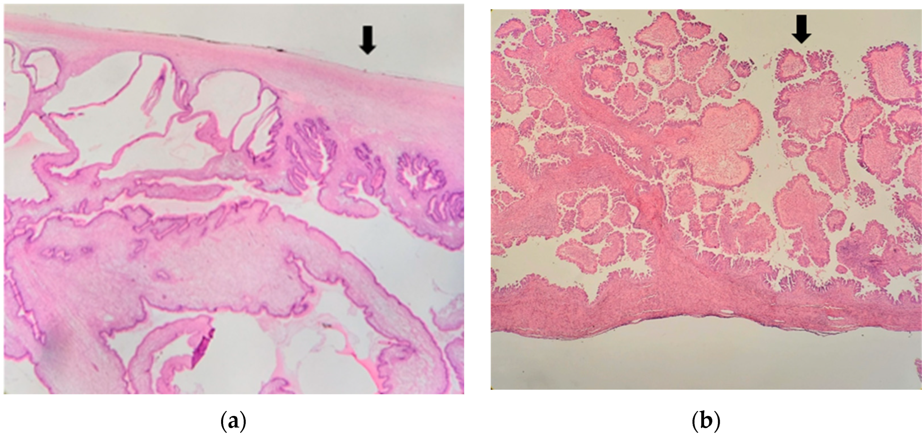 Jcm 12 03544 g001 Jcm 12 03544 g001