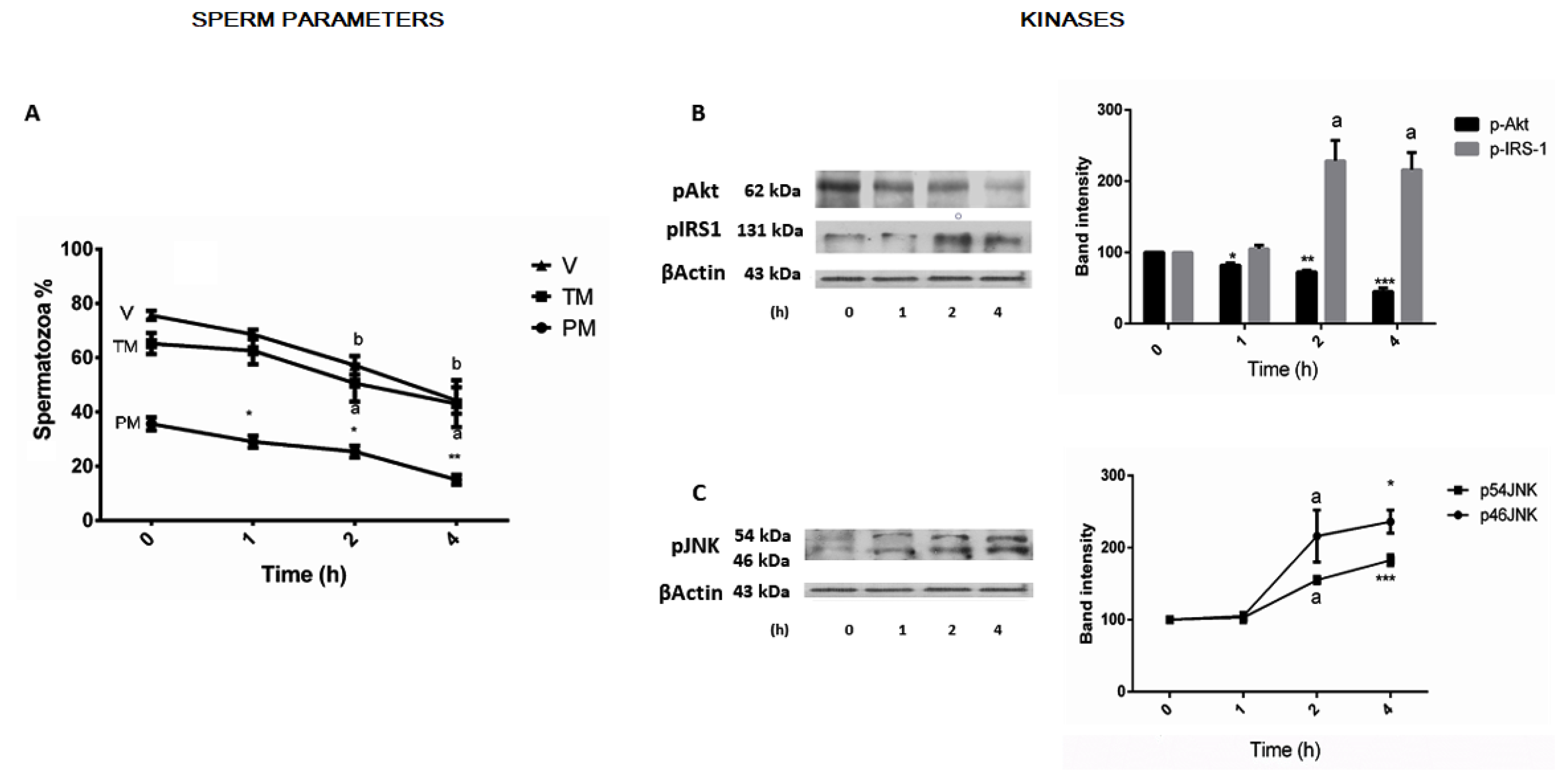 Jcm 12 03844 g001 Jcm 12 03844 g001