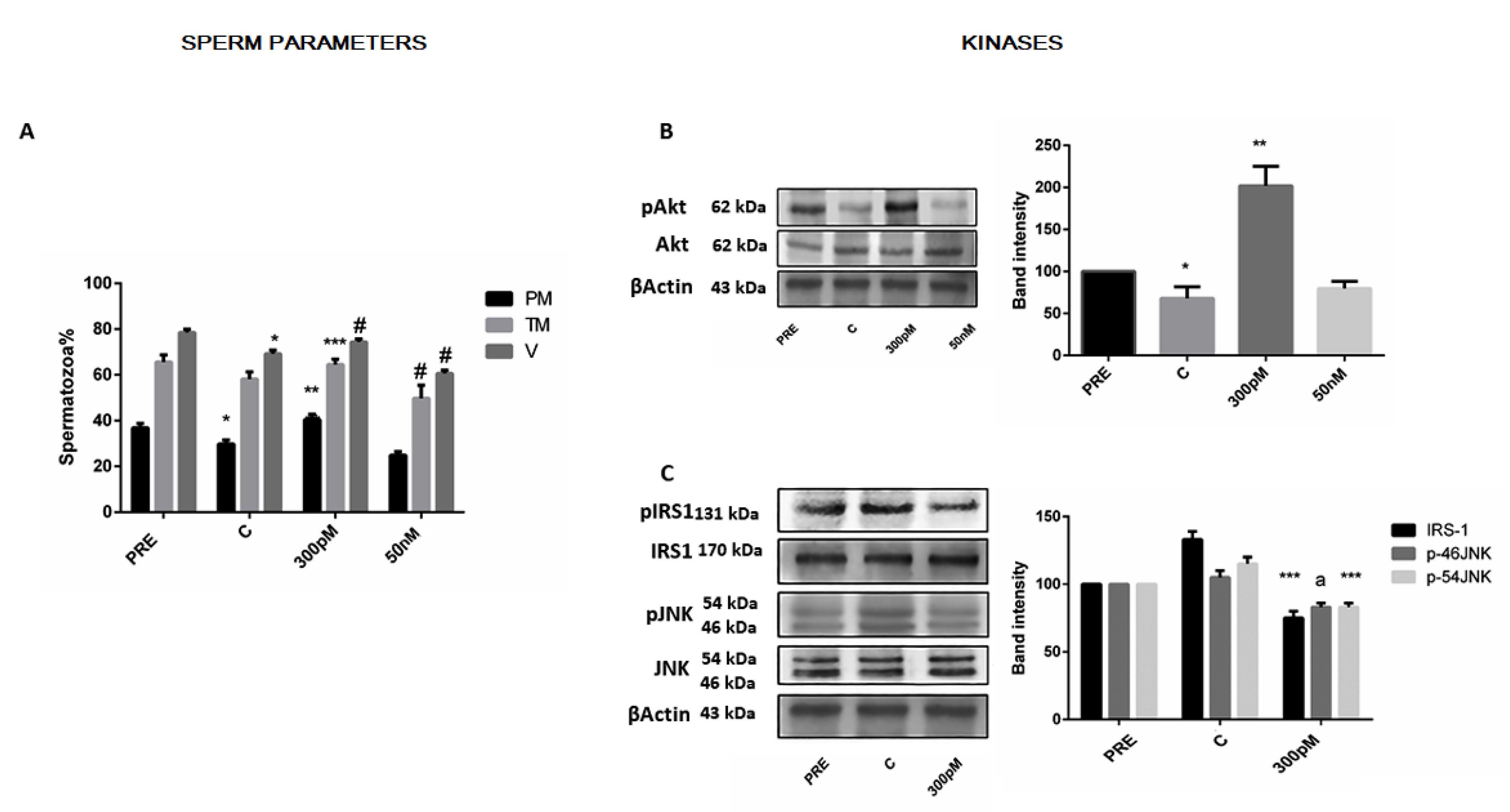 Jcm 12 03844 g002 Jcm 12 03844 g002
