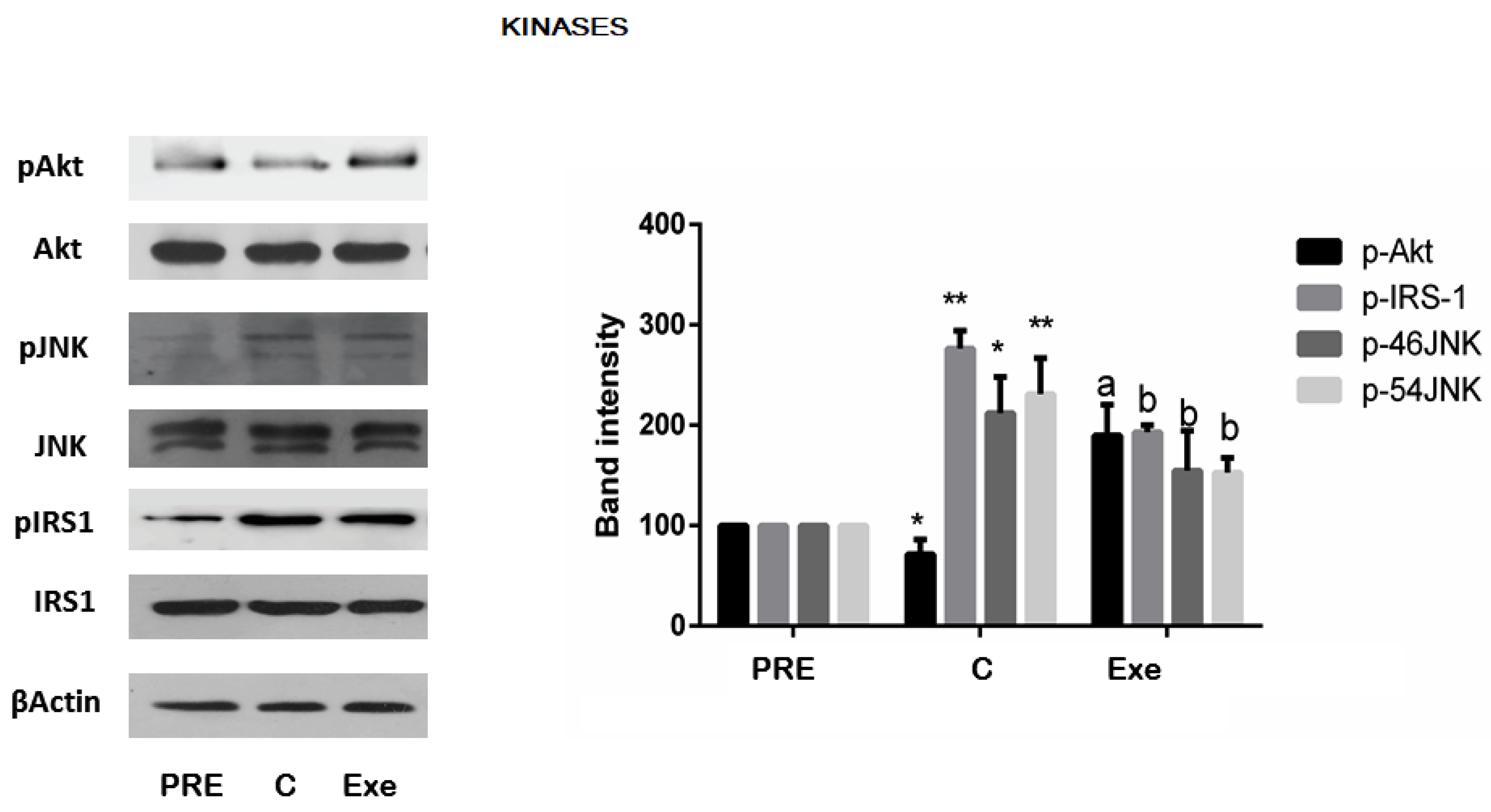 Jcm 12 03844 g003 Jcm 12 03844 g003