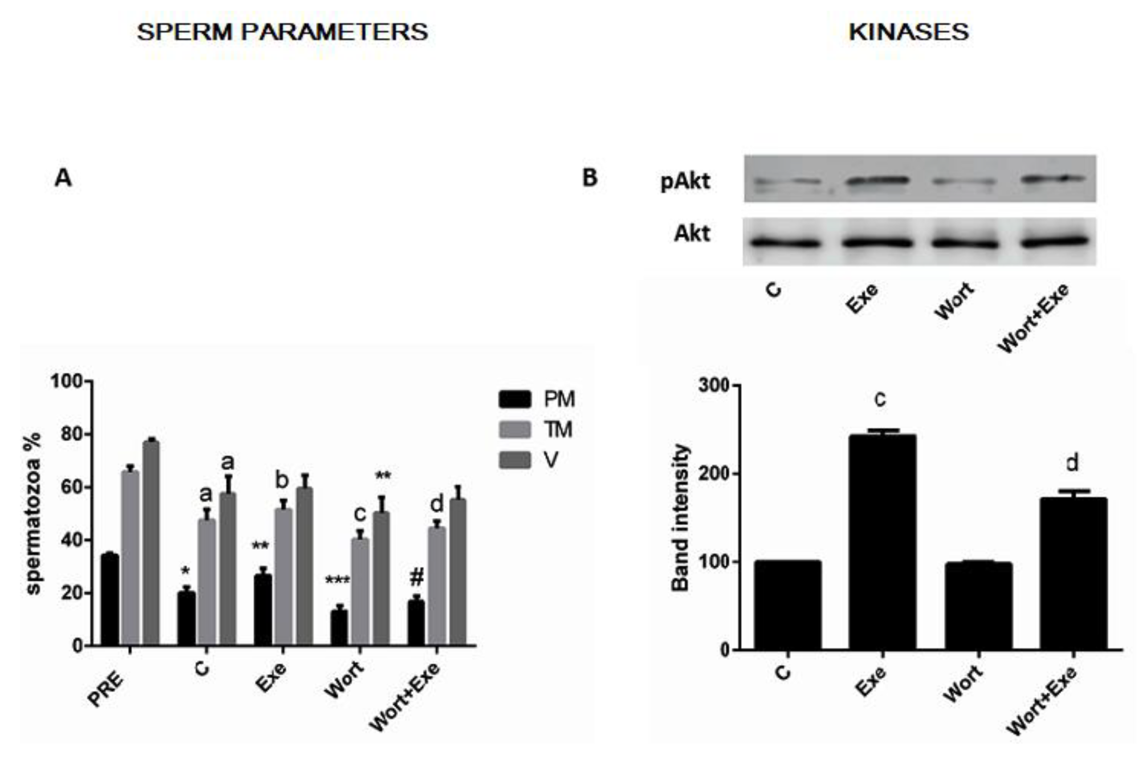 Jcm 12 03844 g004 Jcm 12 03844 g004