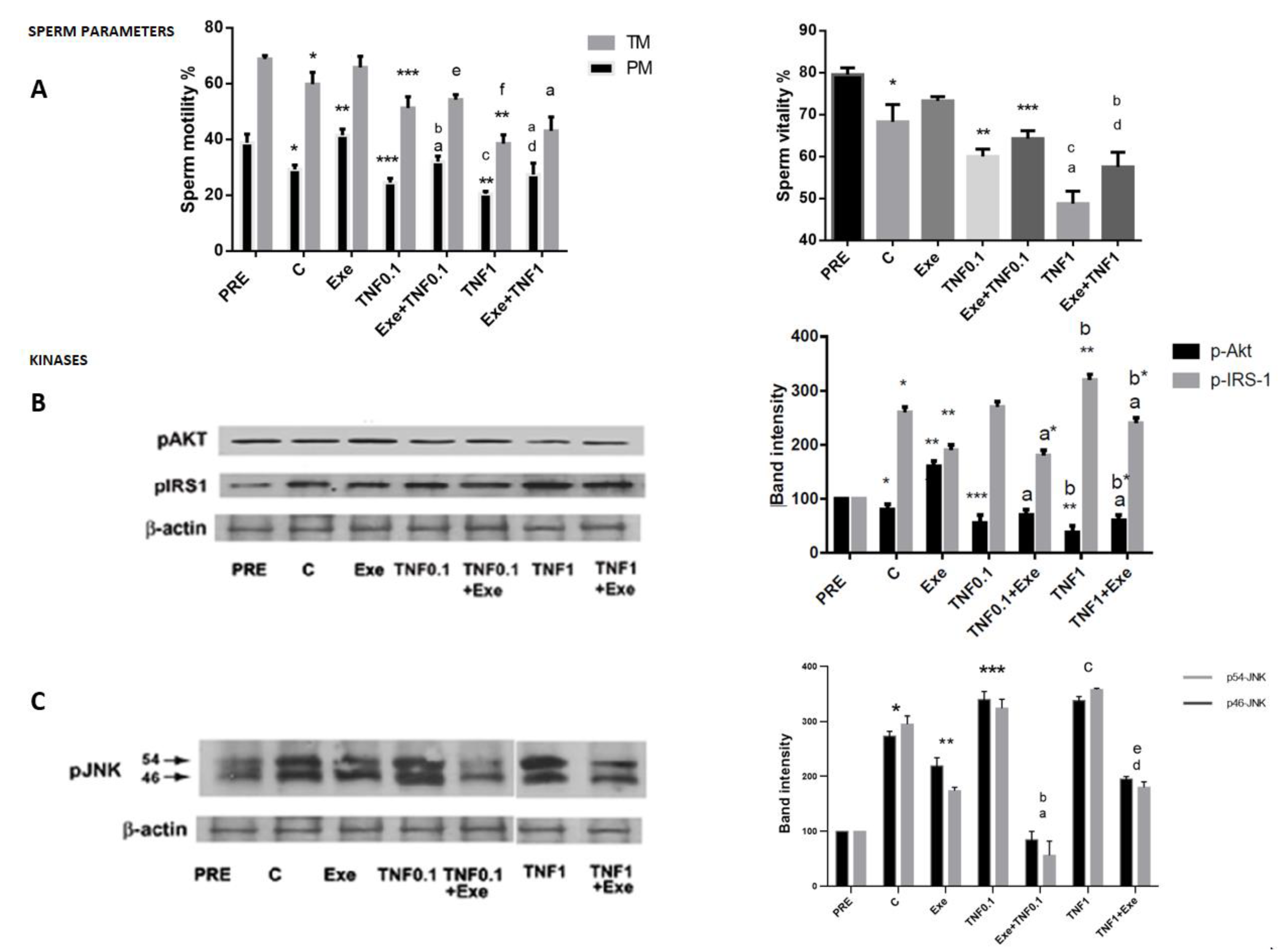 Jcm 12 03844 g005 Jcm 12 03844 g005